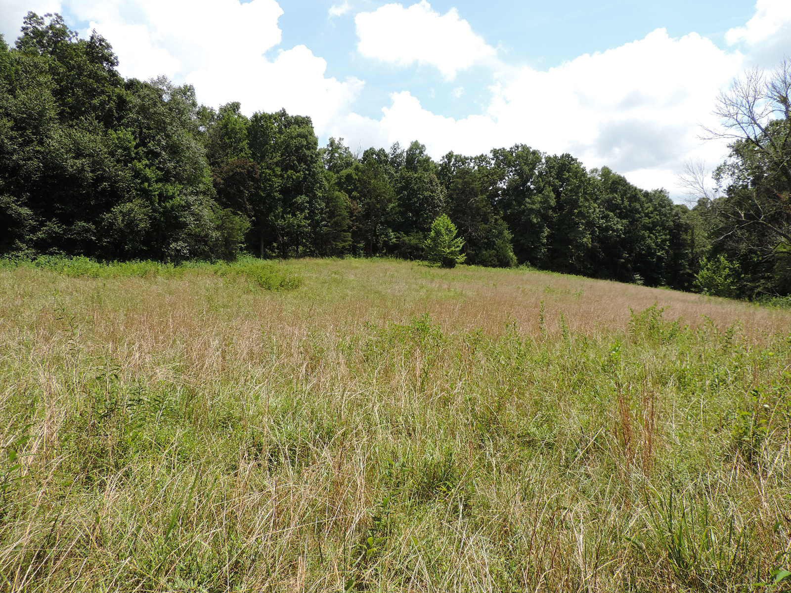 1109 Shields Ridge Road New Market, TN 37820 - Photo 1 of 21 Gallery Image 1