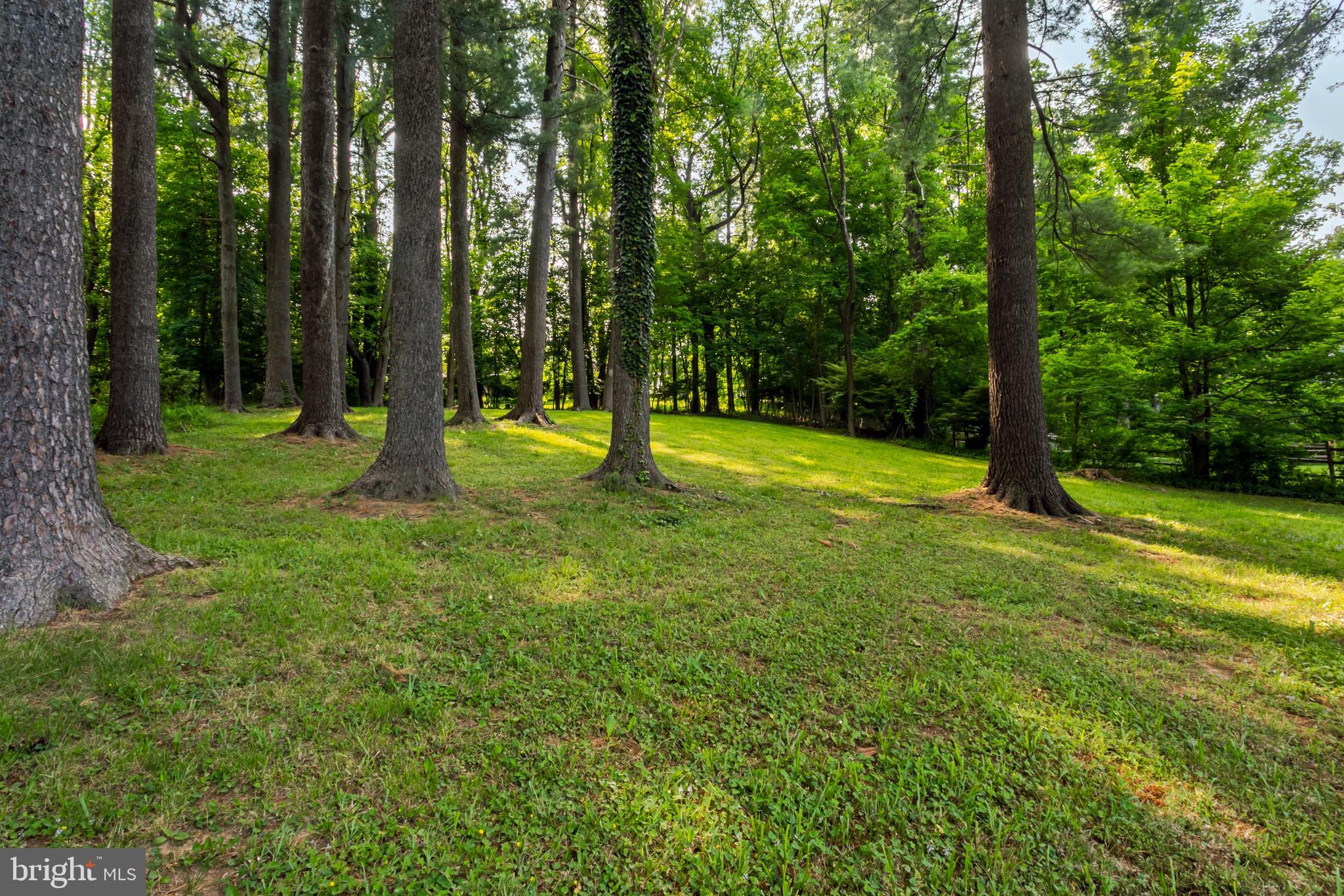 700 Malin Road Newtown Square, PA 19073 - Photo 52 of 56