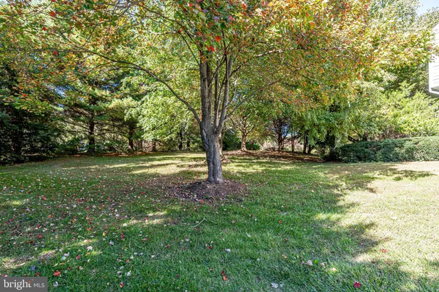 $4,500 | 1168 Taji Court, Herndon, VA 20170