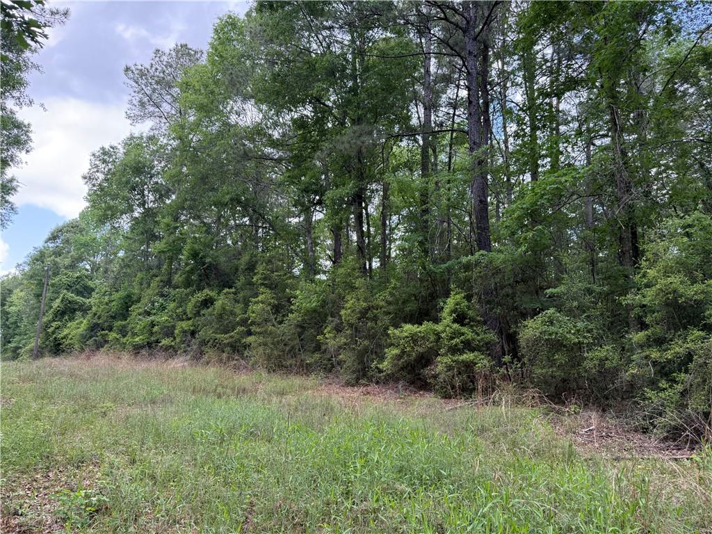 Tbd Gum Springs Loop Hornbeck, LA 71439 - Photo 1 of 6 Gallery Image 1