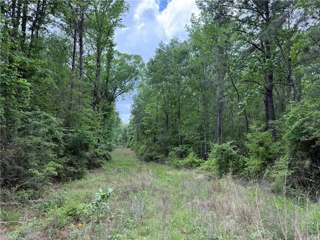 Tbd Gum Springs Loop Hornbeck, LA 71439 - Photo 2 of 6 Gallery Image 2