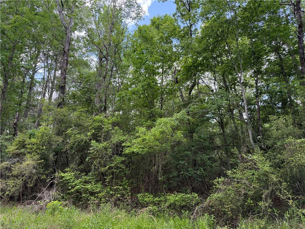 Tbd Gum Springs Loop Hornbeck, LA 71439 - Photo 3 of 6 Gallery Image 3