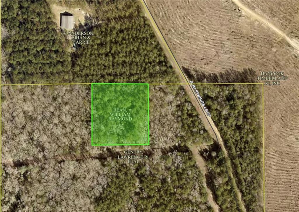 Tbd Gum Springs Loop Hornbeck, LA 71439 - Photo 6 of 6 Gallery Image 6