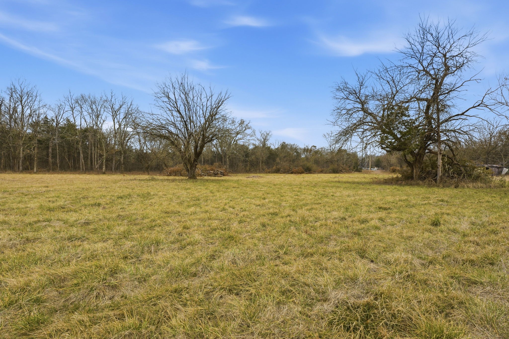 0 Shirley Road Smyrna, TN 37167 - Photo 24 of 30 a view of open space with trees