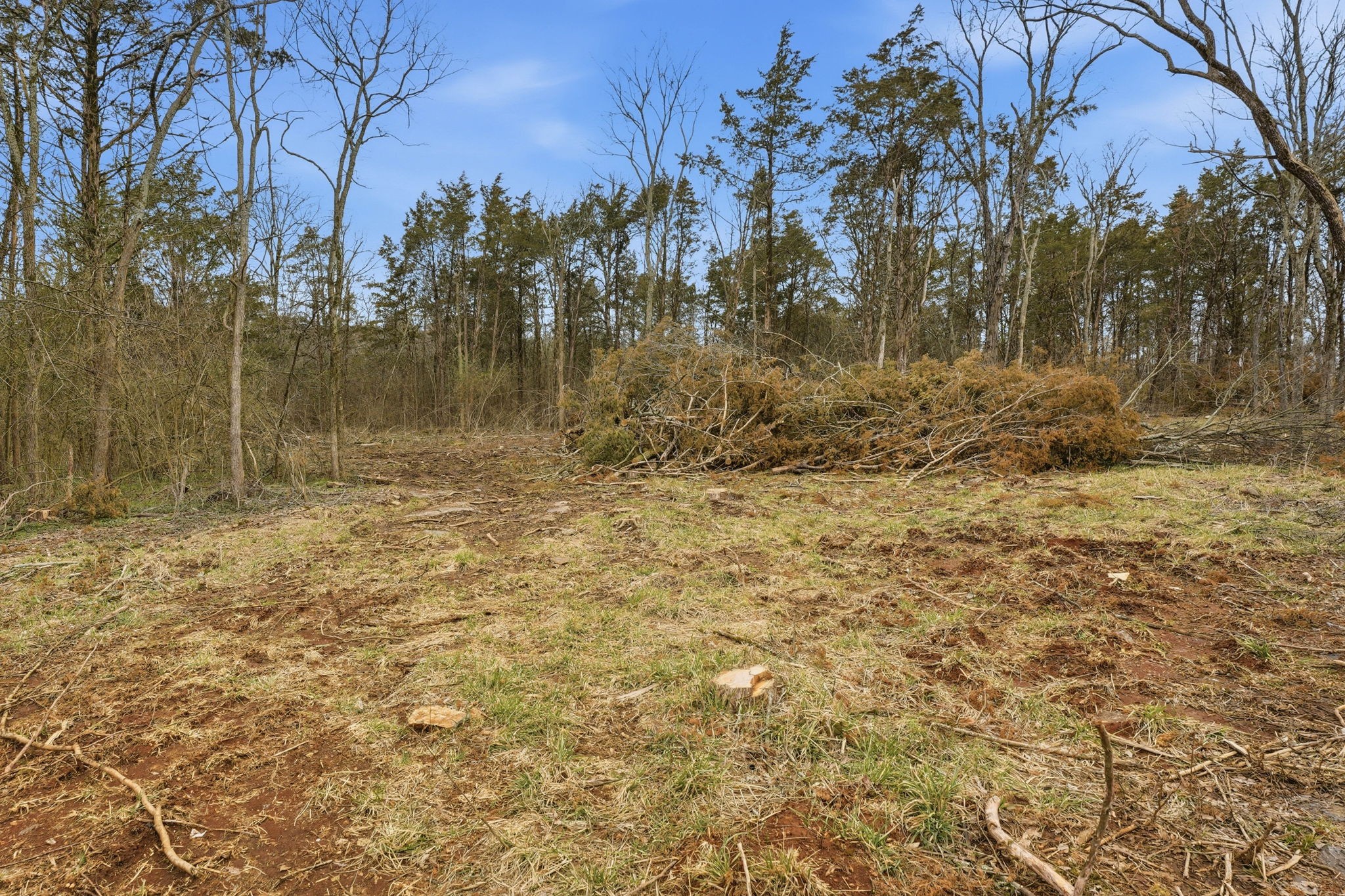 0 Shirley Road Smyrna, TN 37167 - Photo 26 of 30 a view of a yard with trees