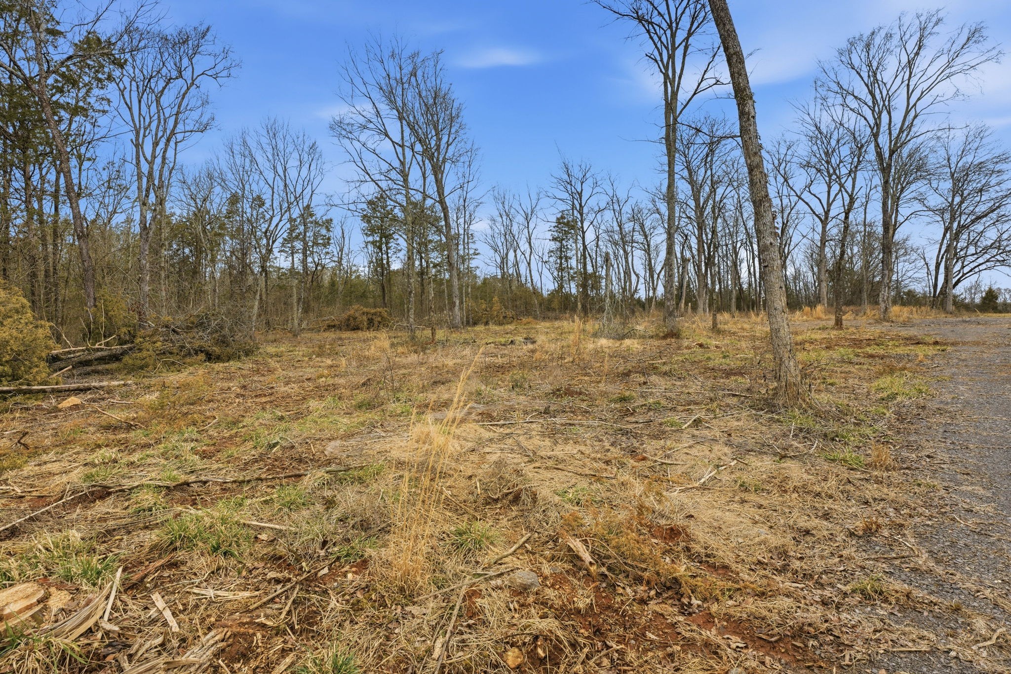 0 Shirley Road Smyrna, TN 37167 - Photo 27 of 30