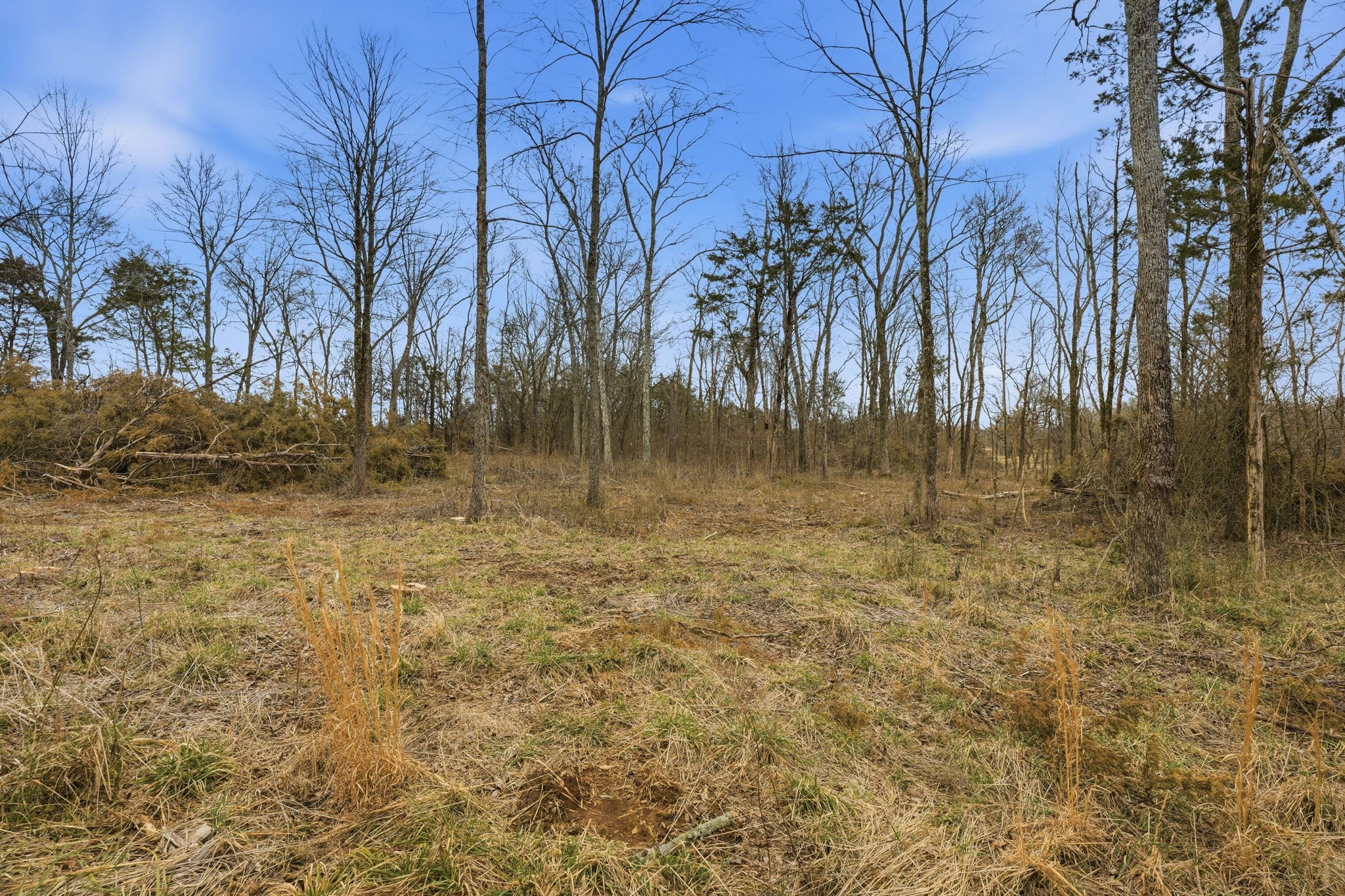 0 Shirley Road Smyrna, TN 37167 - Photo 28 of 30 a view of backyard with green space
