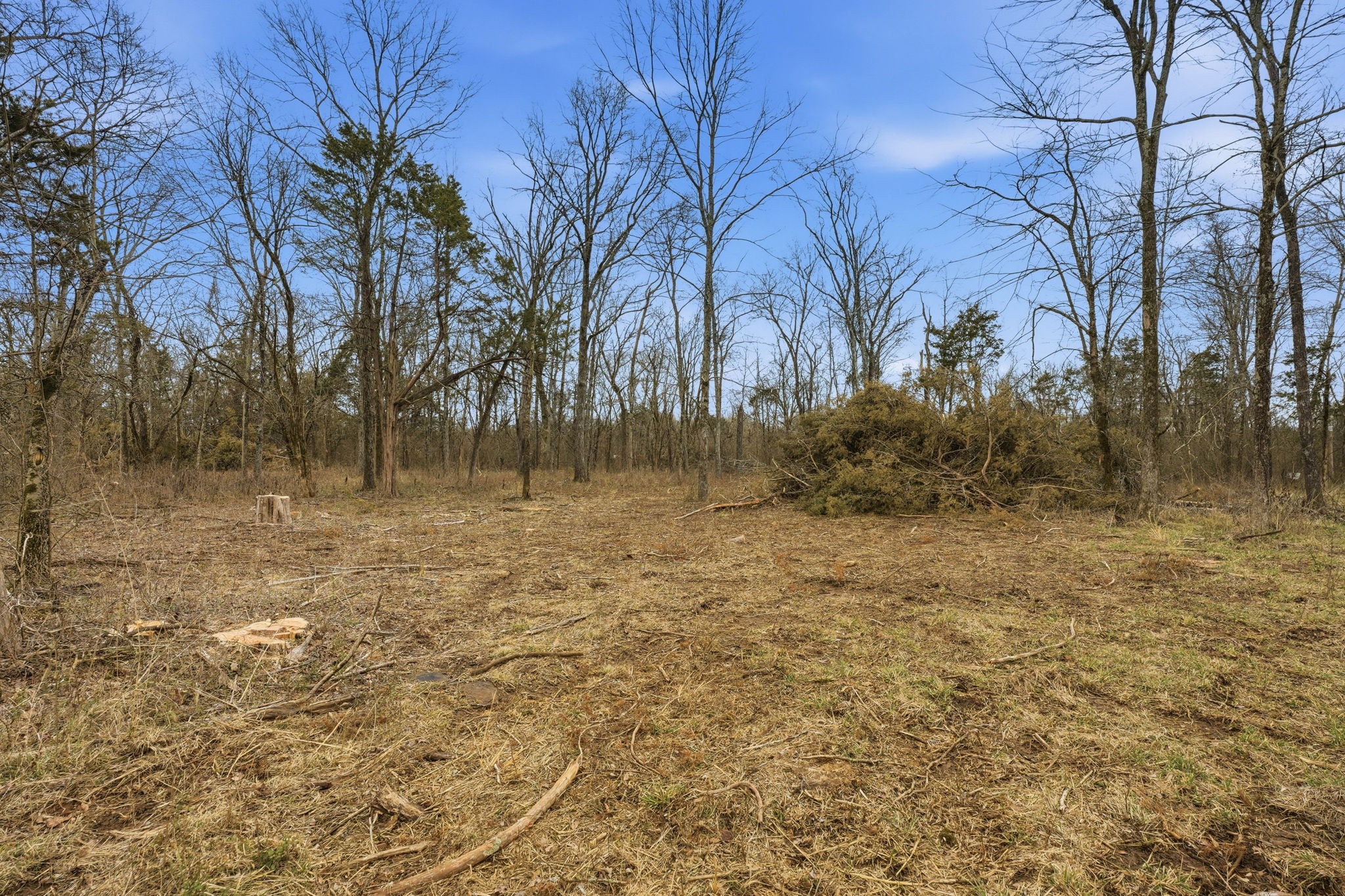 0 Shirley Road Smyrna, TN 37167 - Photo 4 of 30 a view of backyard with green space