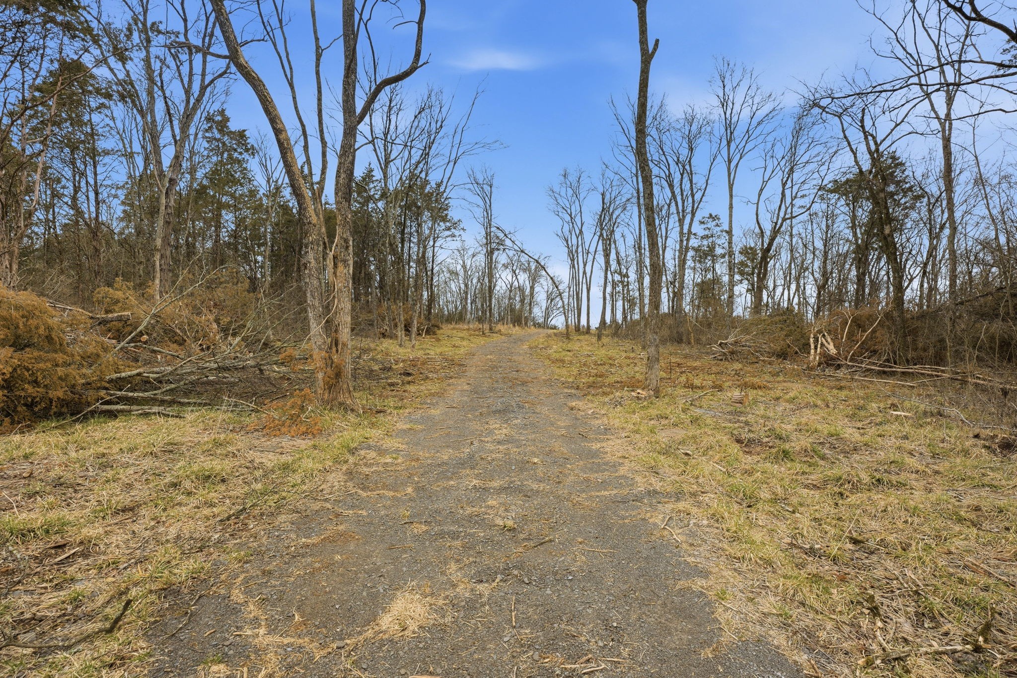 0 Shirley Road Smyrna, TN 37167 - Photo 5 of 30 a view of yard with trees