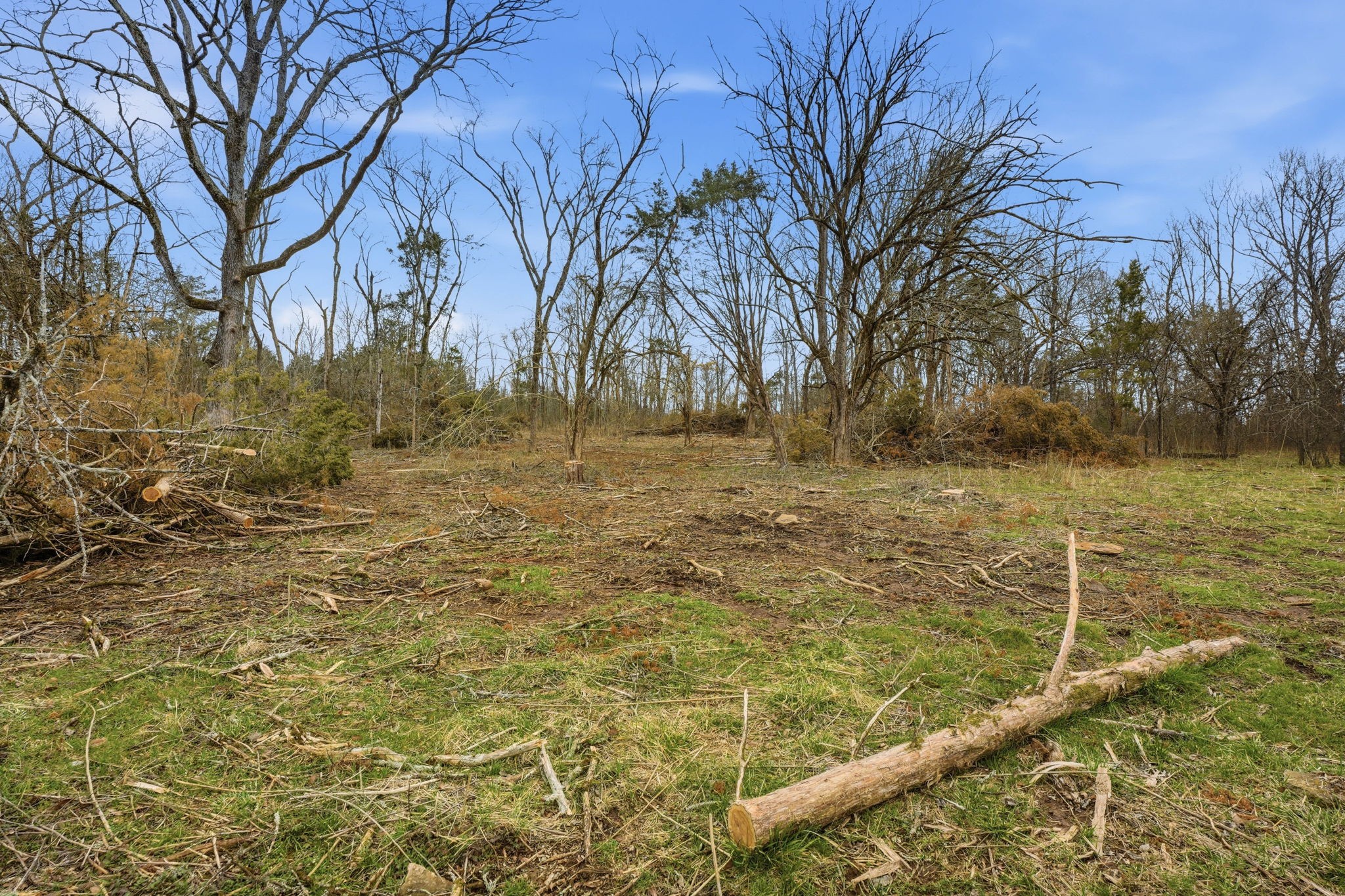 0 Shirley Road Smyrna, TN 37167 - Photo 6 of 30 a view of a yard with an trees