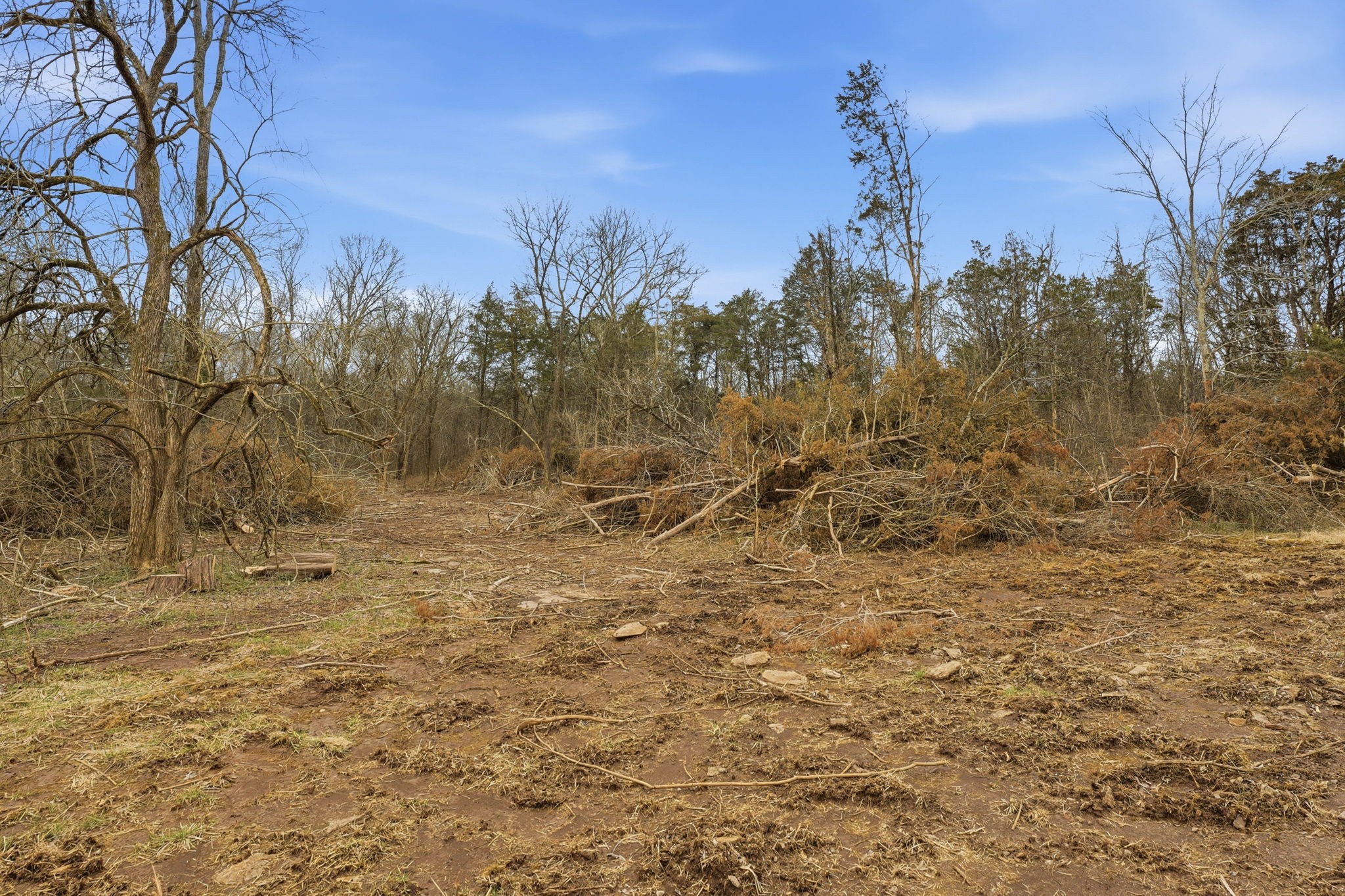 0 Shirley Road Smyrna, TN 37167 - Photo 7 of 30 a view of a yard with trees