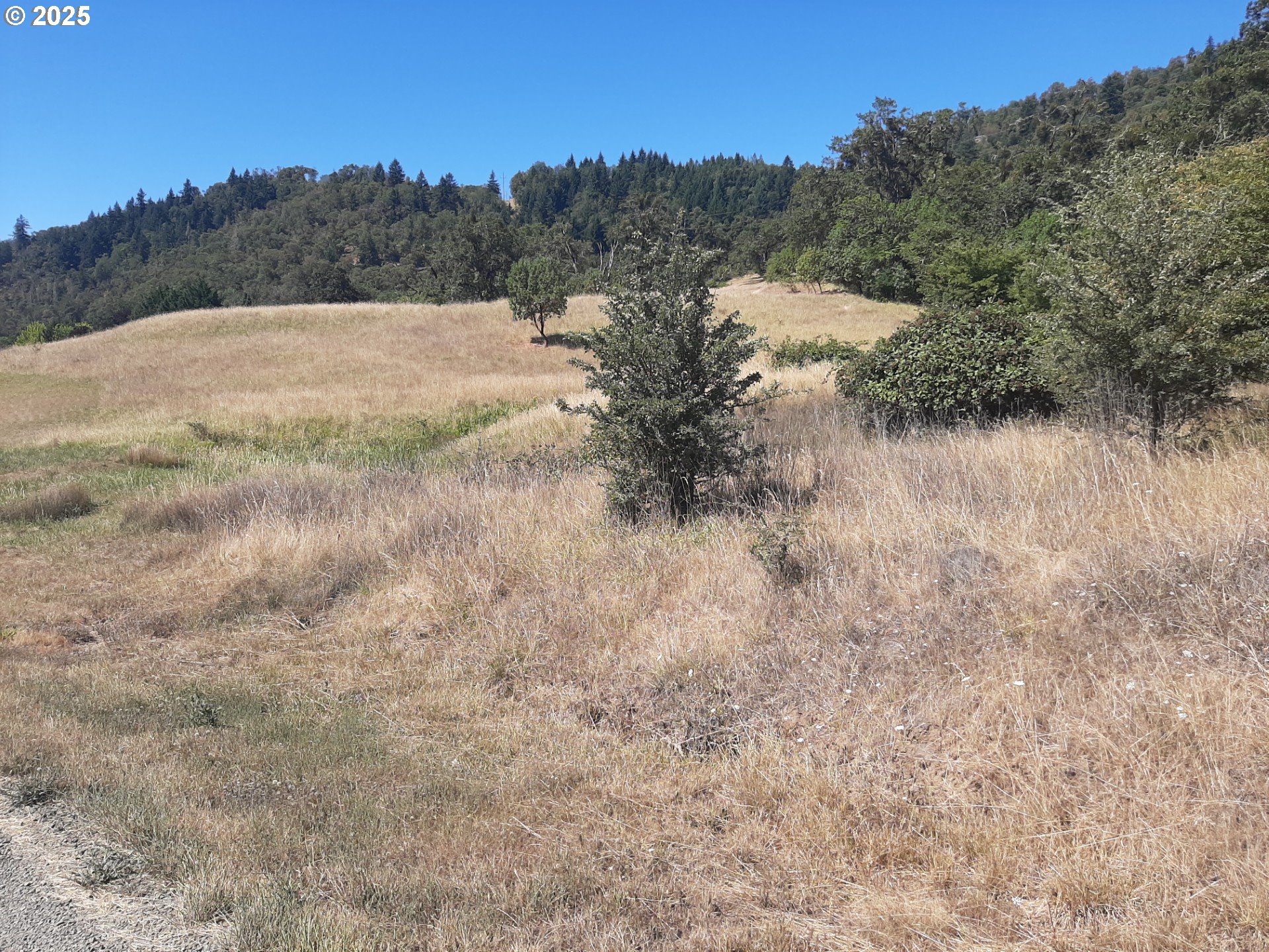 0 Northwest Broad Street Roseburg, OR 97471 - Photo 12 of 13 a view of a dry yard