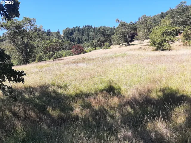 a view of a road with a yard