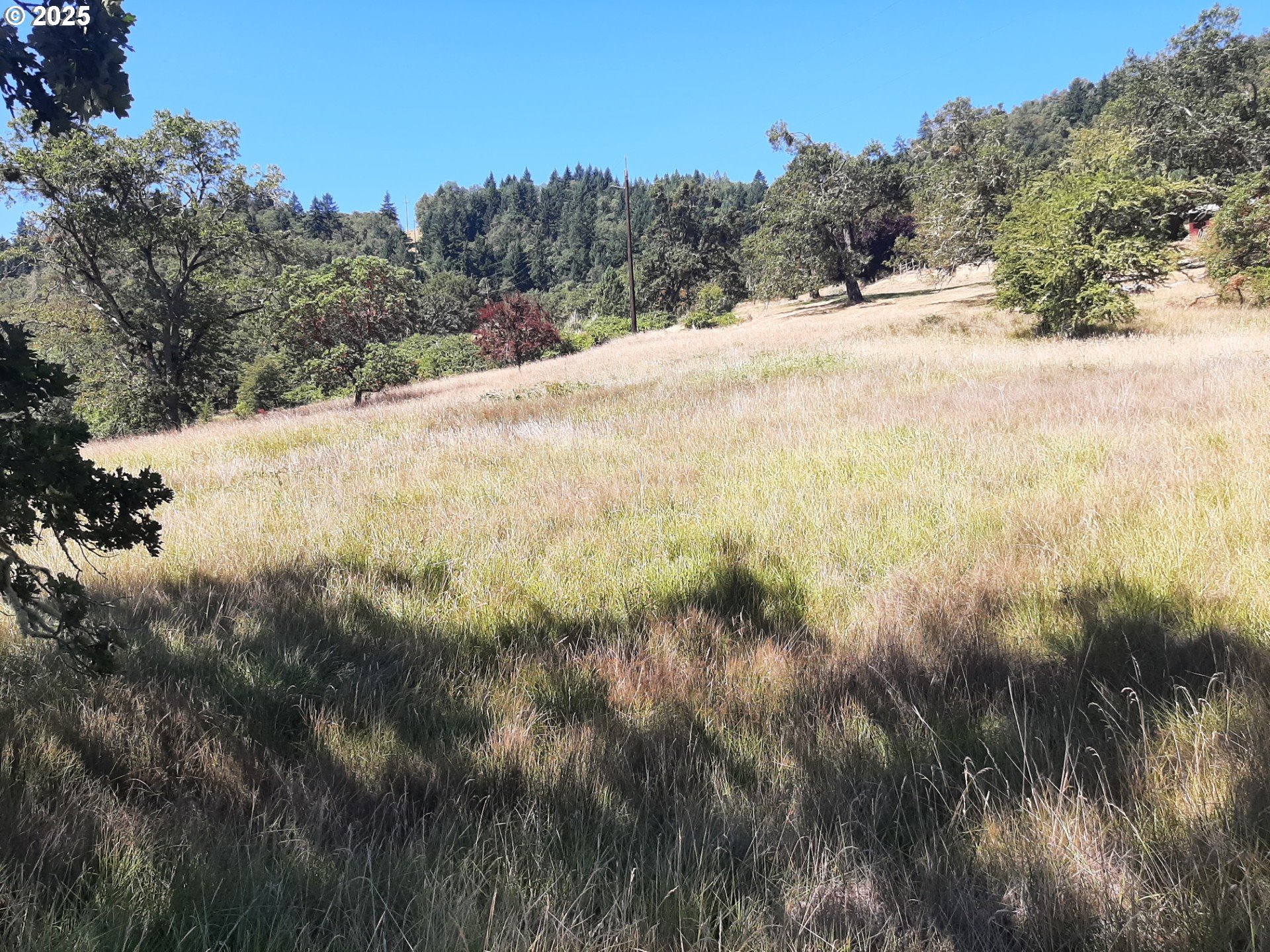 0 Northwest Broad Street Roseburg, OR 97471 - Photo 3 of 13 a view of a road with a yard