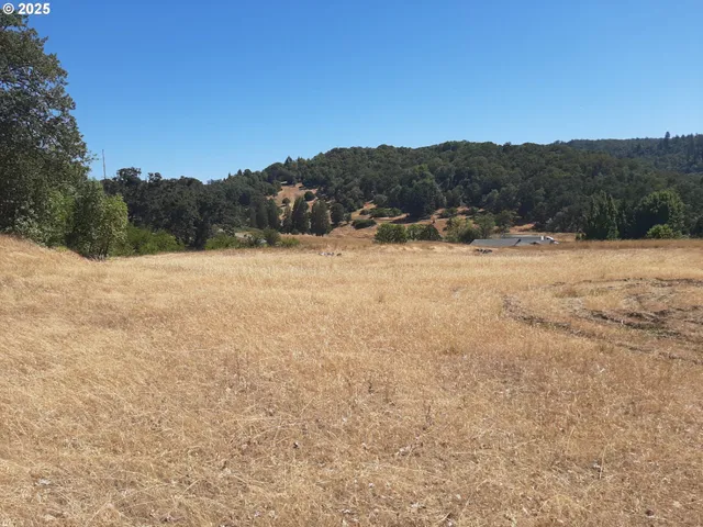 a view of an outdoor space and a yard