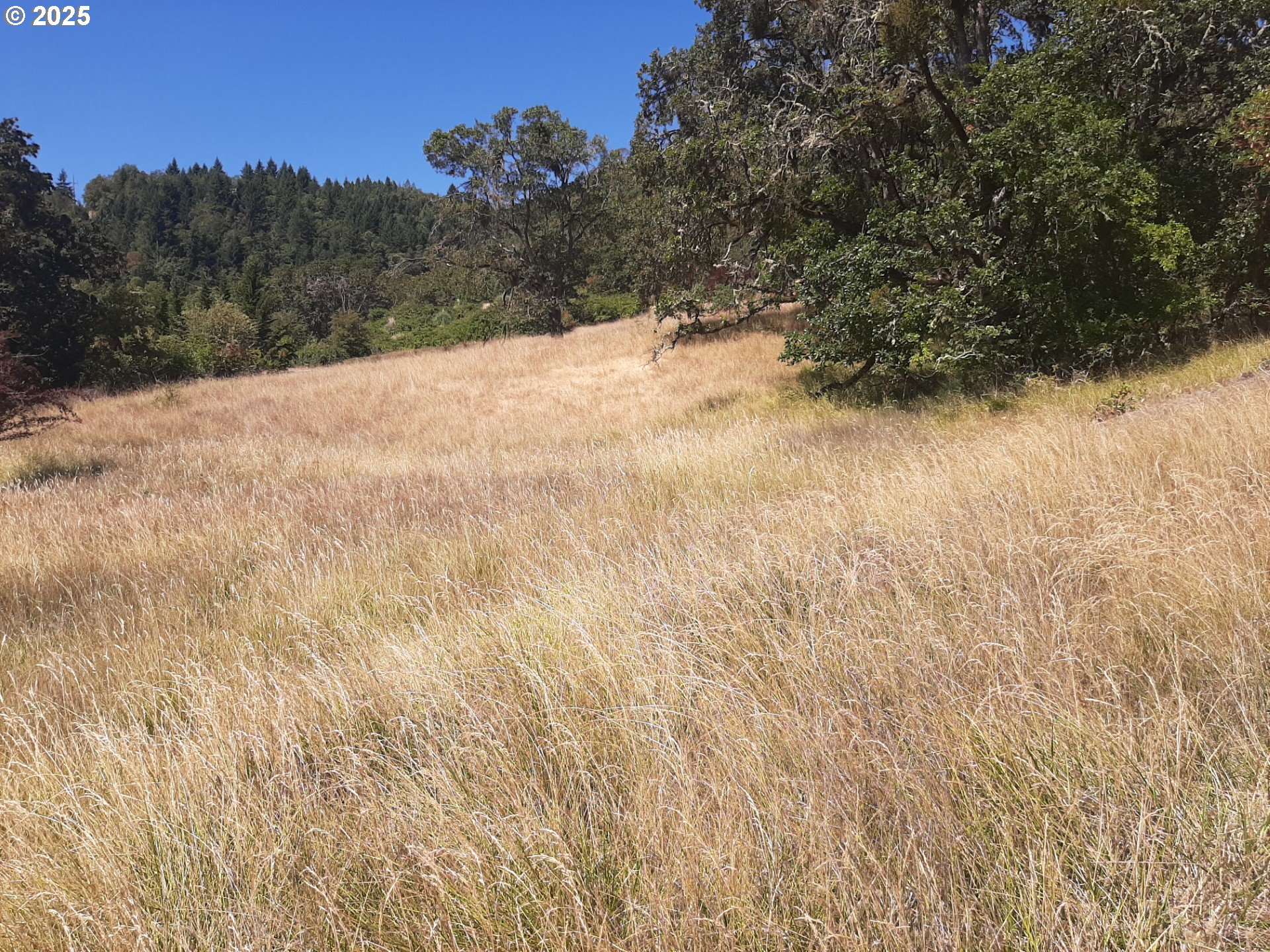0 Northwest Broad Street Roseburg, OR 97471 - Photo 8 of 13 a view of a yard covered in snow