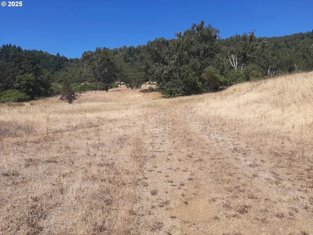 a view of a snow in between the yard