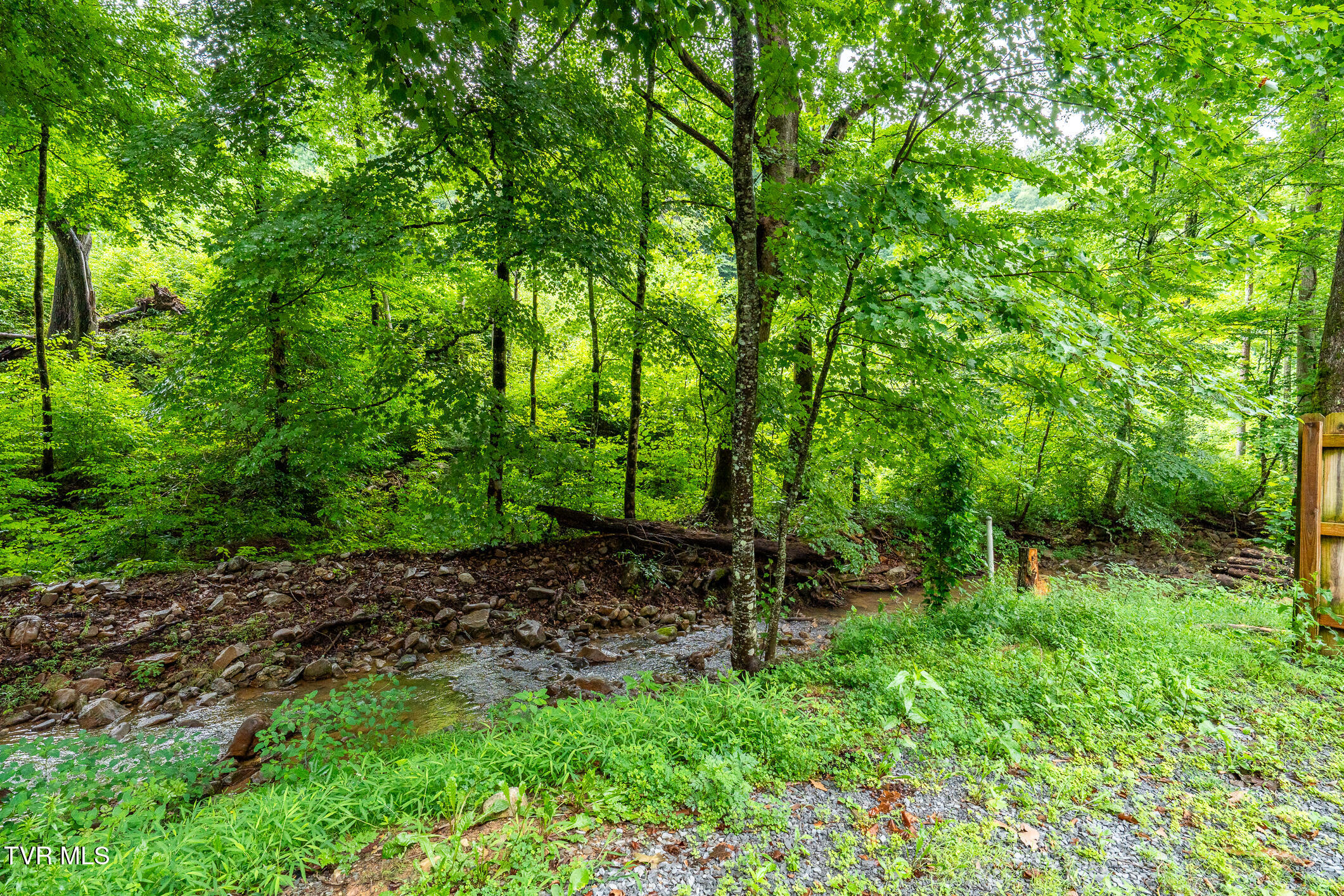 6539 Big Dry Run Road Butler, TN 37640 - Photo 44 of 93 6539 Big Dry Run Road (43 of 79)