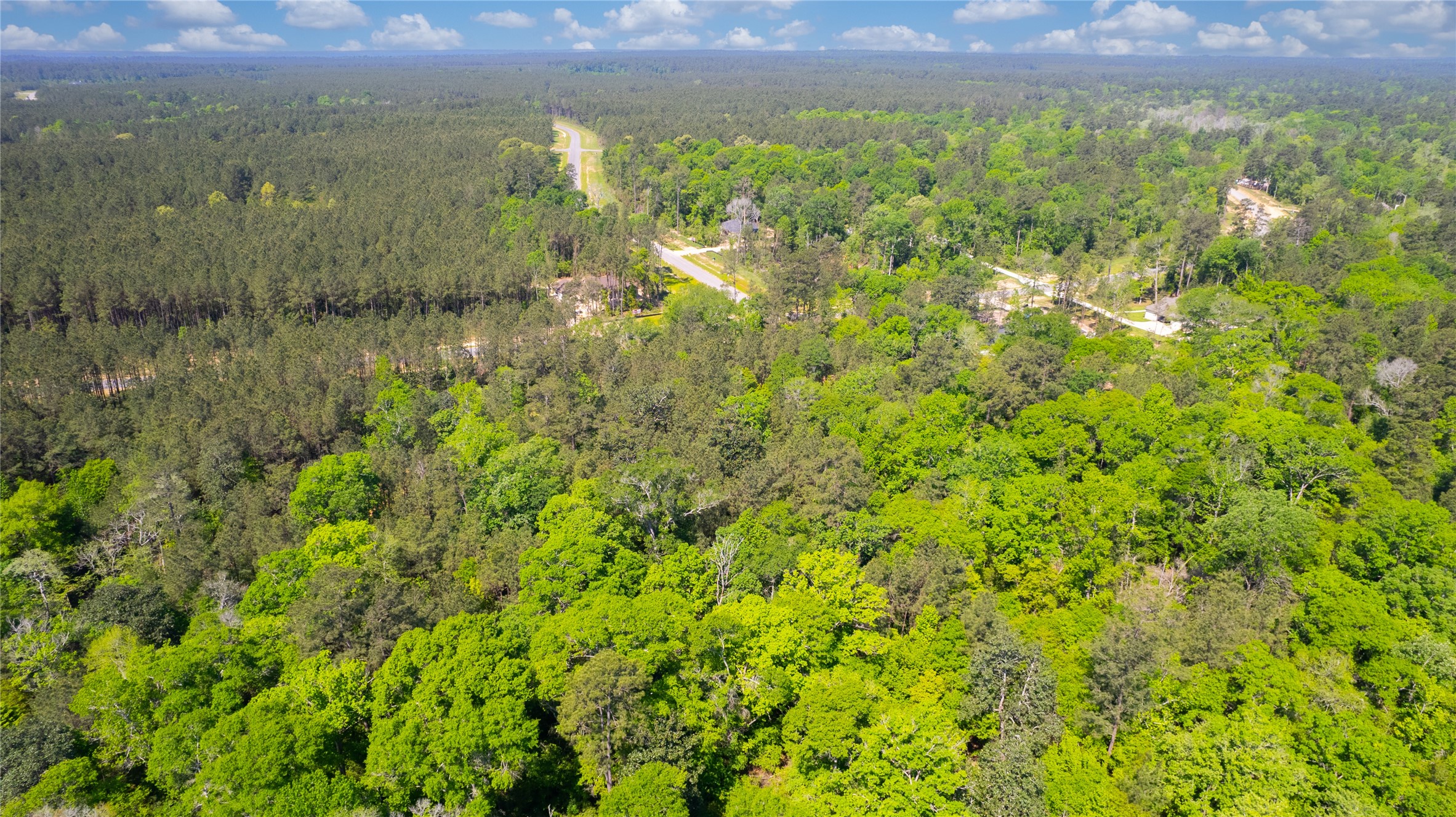 12868 Oak Barrel Road Willis, TX 77378 - Photo 1 of 32 a view of a lake with a mountain in the background