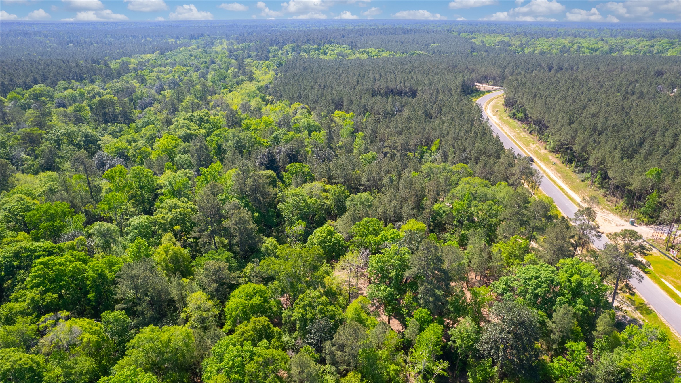 12868 Oak Barrel Road Willis, TX 77378 - Photo 11 of 32 a view of a lush green forest with lots of trees