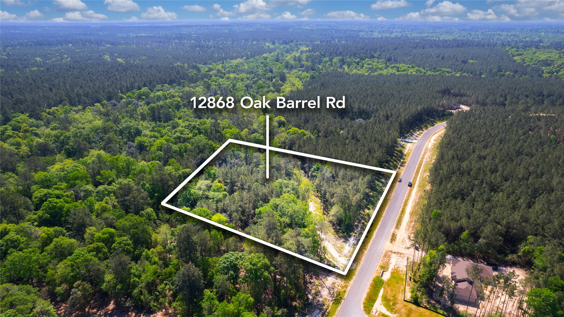 12868 Oak Barrel Road Willis, TX 77378 - Photo 12 of 32