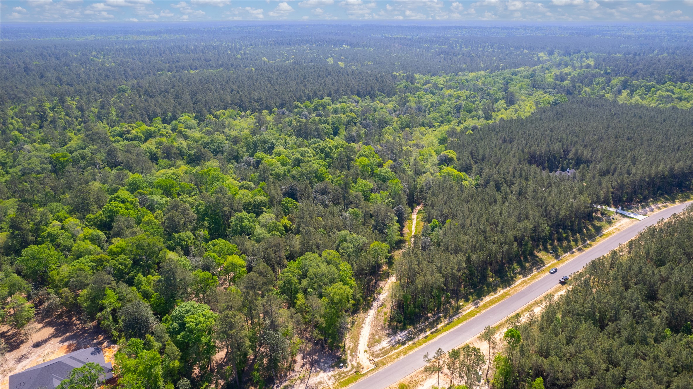 12868 Oak Barrel Road Willis, TX 77378 - Photo 13 of 32 a view of a garden with a plant