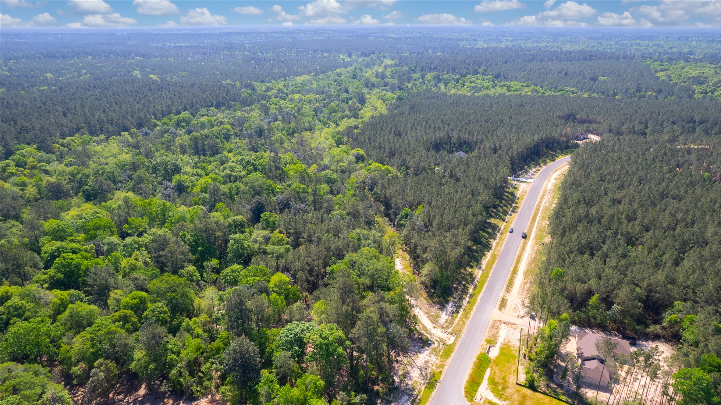 12868 Oak Barrel Road Willis, TX 77378 - Photo 14 of 32 a view of a yard in a garden
