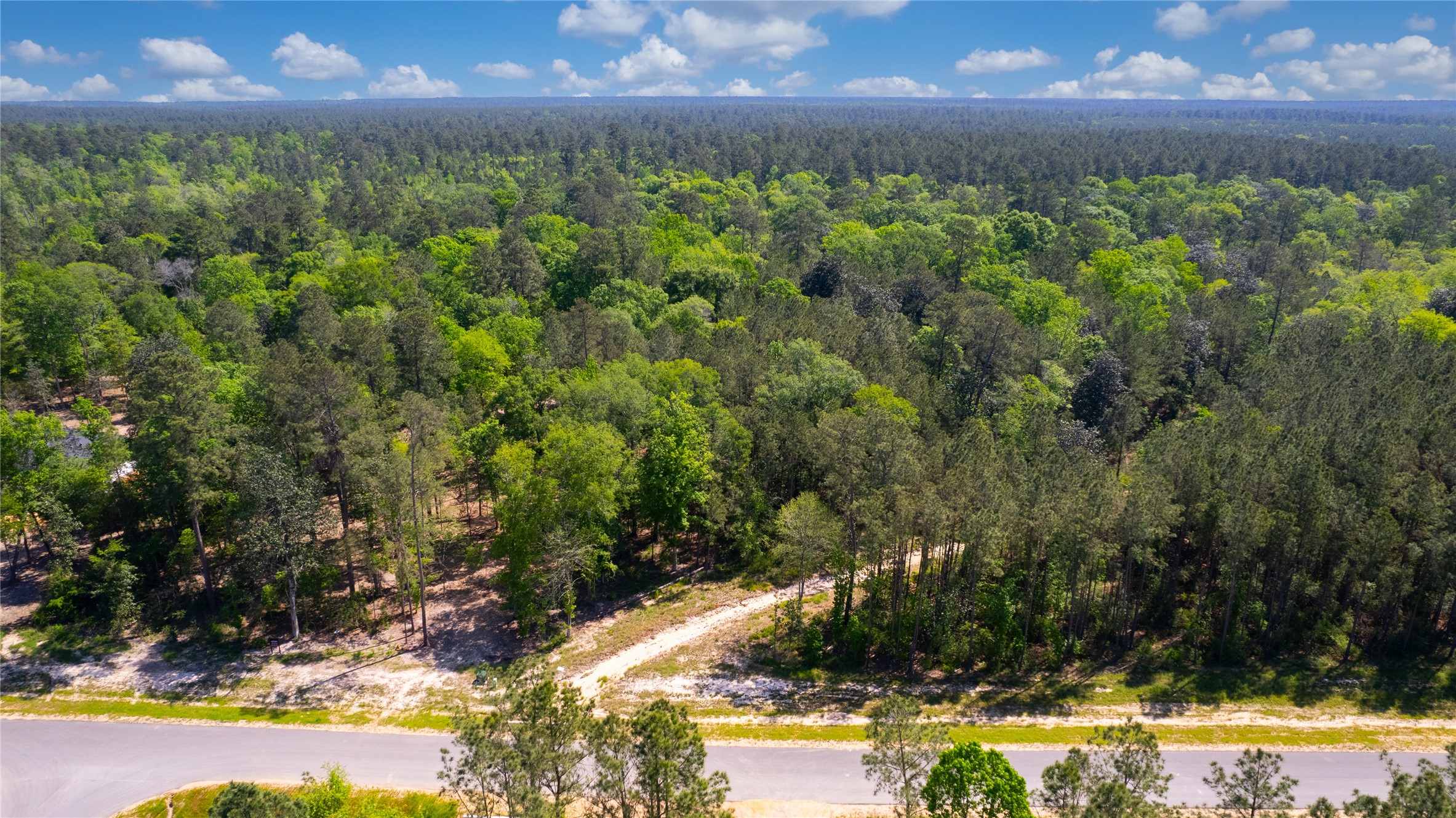 12868 Oak Barrel Road Willis, TX 77378 - Photo 16 of 32 a view of a yard in front of lake