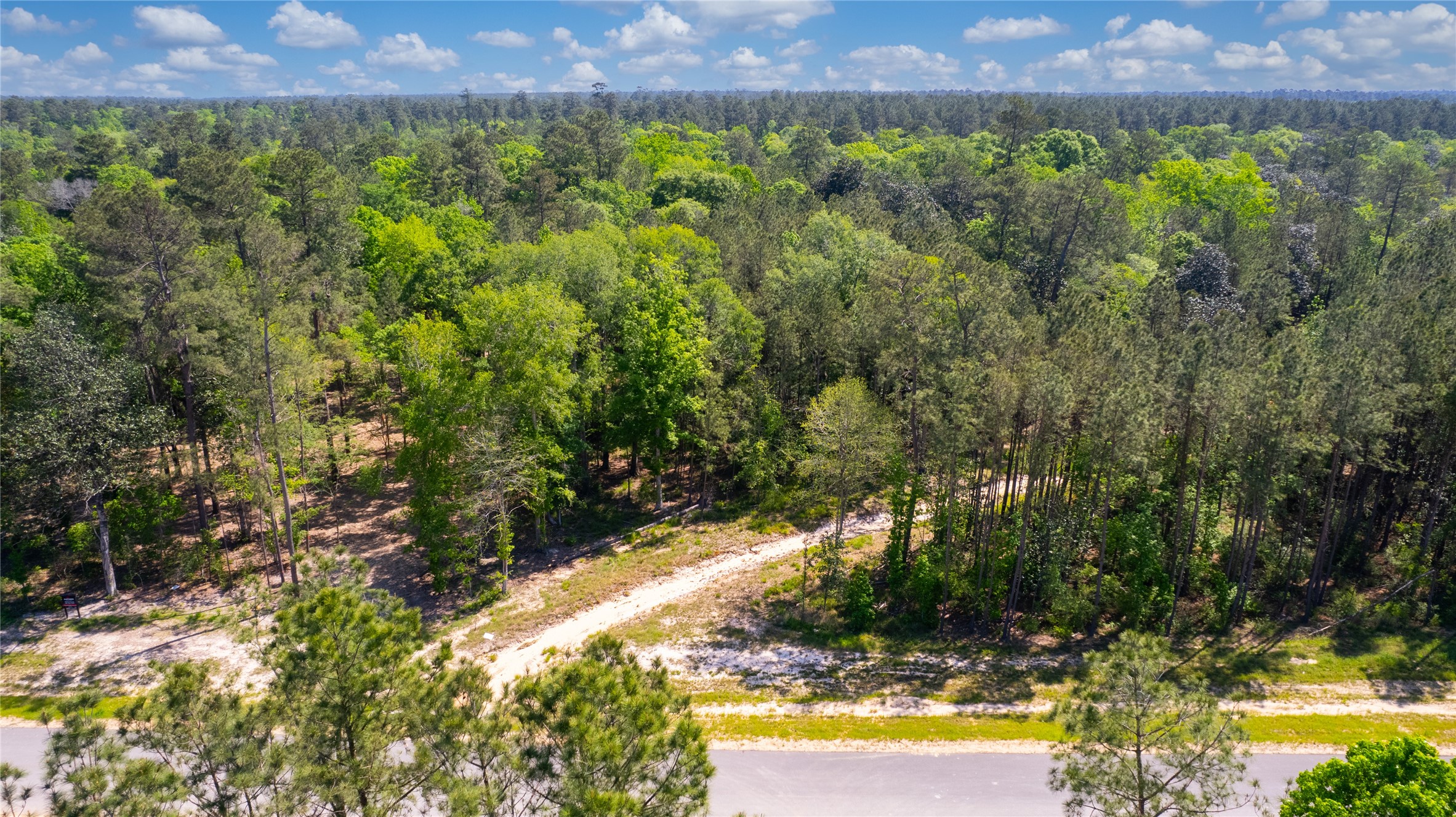 12868 Oak Barrel Road Willis, TX 77378 - Photo 17 of 32 a view of a yard with a tree