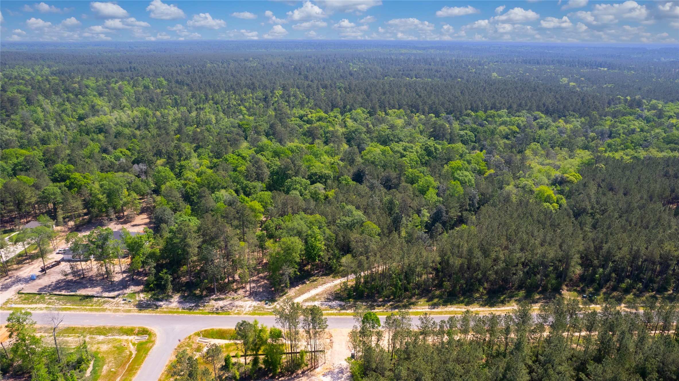 12868 Oak Barrel Road Willis, TX 77378 - Photo 18 of 32 a view of outdoor space and yard