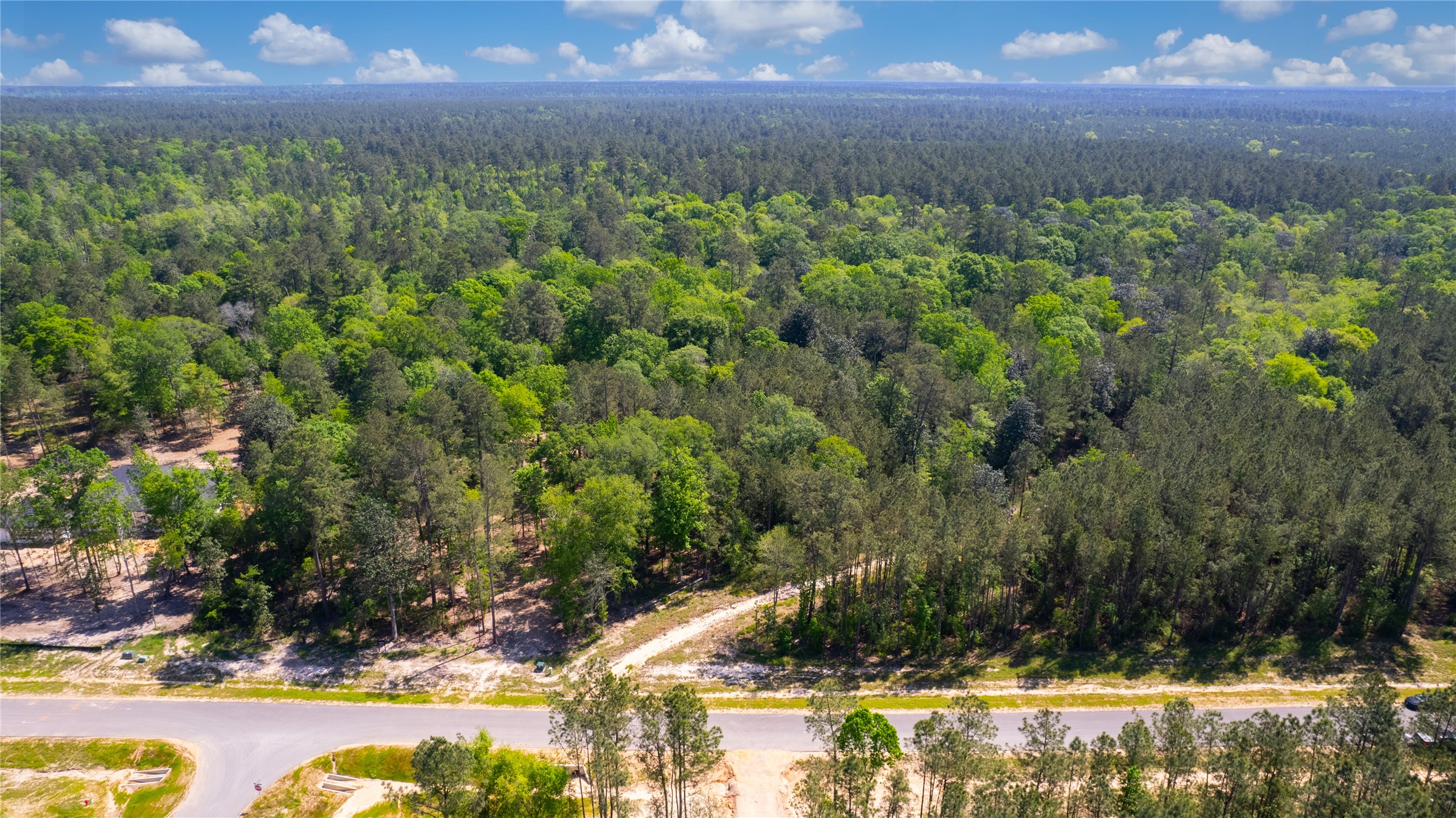 12868 Oak Barrel Road Willis, TX 77378 - Photo 19 of 32 a view of a yard