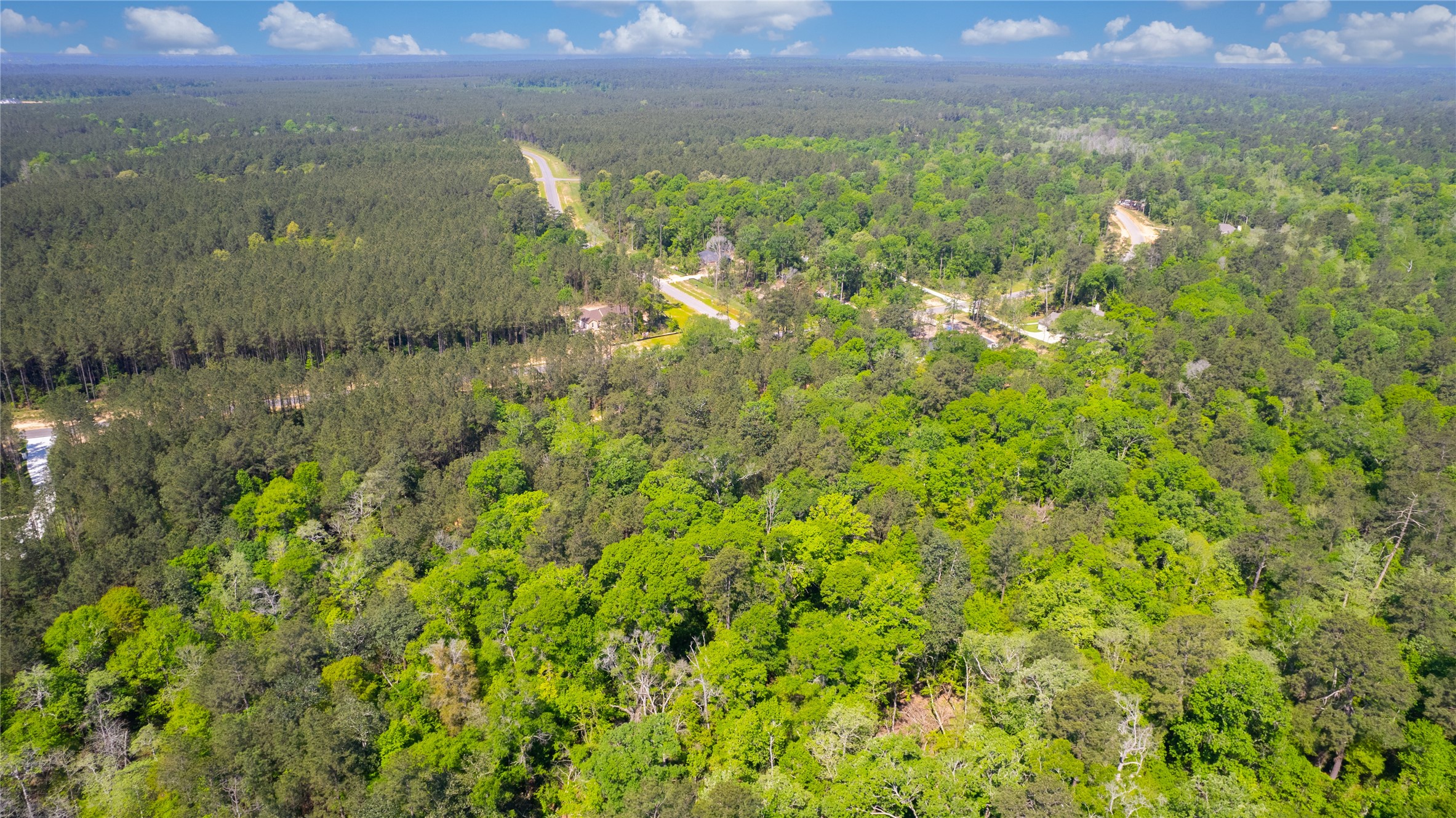 12868 Oak Barrel Road Willis, TX 77378 - Photo 2 of 32 a view of a houses with a lush green forest