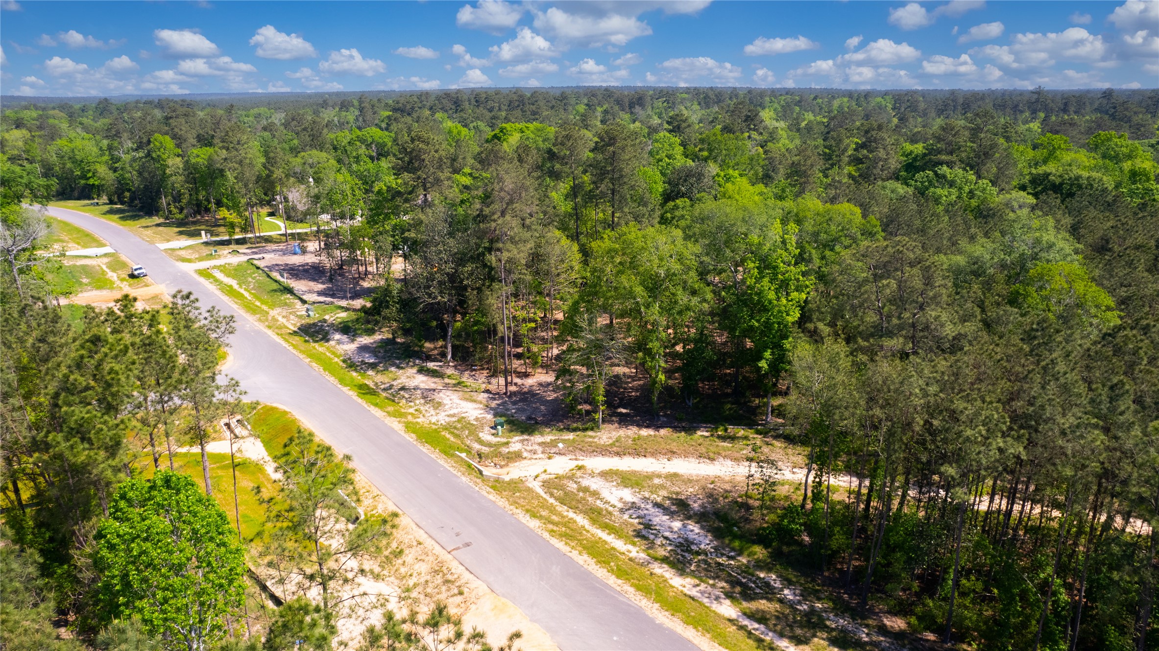 12868 Oak Barrel Road Willis, TX 77378 - Photo 23 of 32 a view of a yard with a large pool