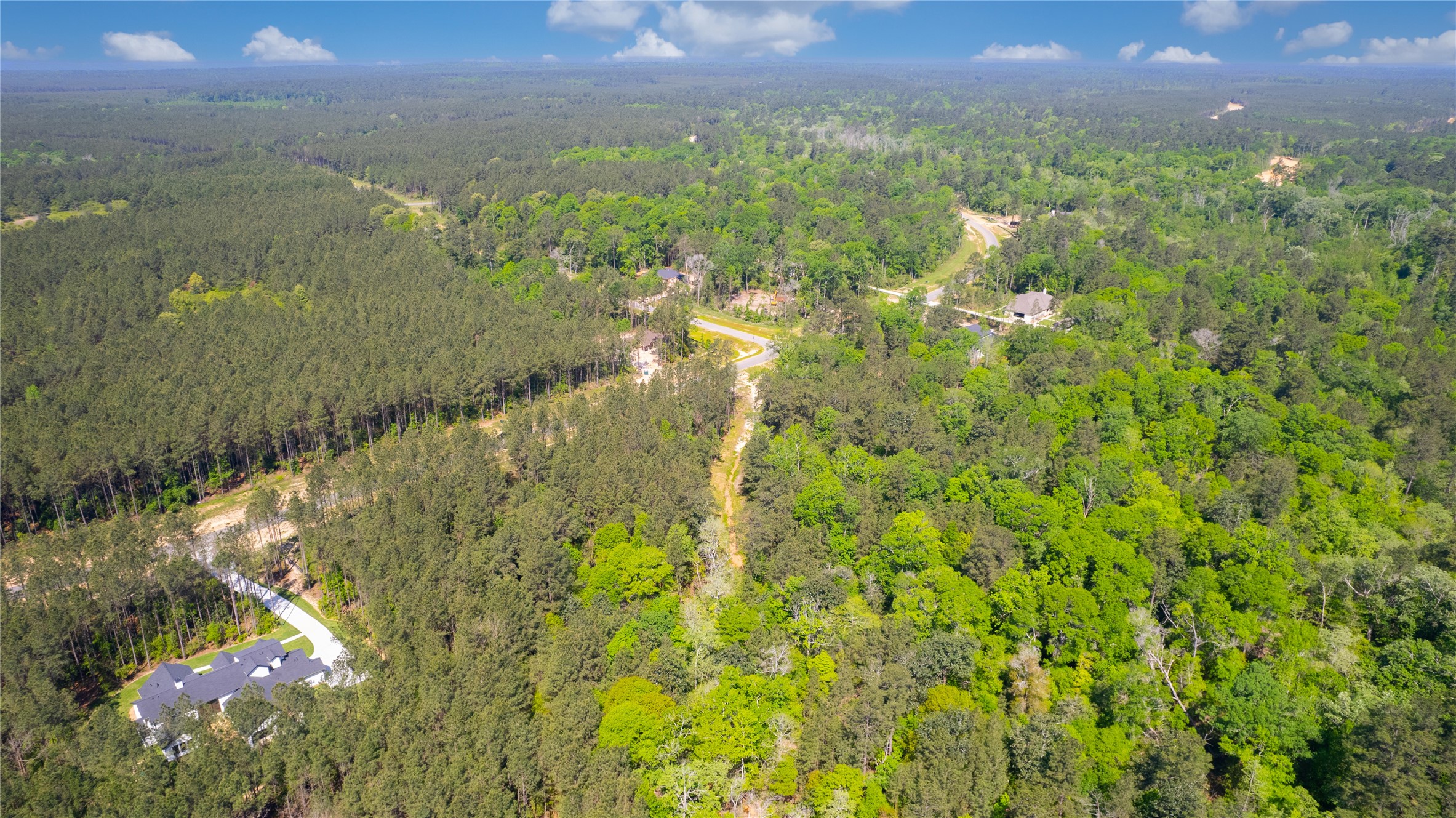 12868 Oak Barrel Road Willis, TX 77378 - Photo 30 of 32 a view of a lake and a yard