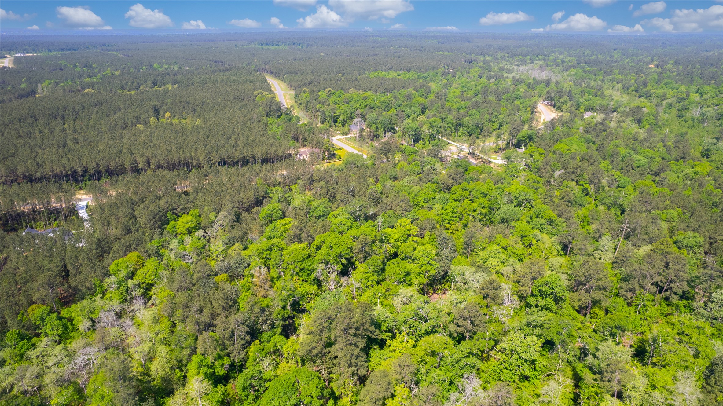 12868 Oak Barrel Road Willis, TX 77378 - Photo 3 of 32 a view of a lake and a yard