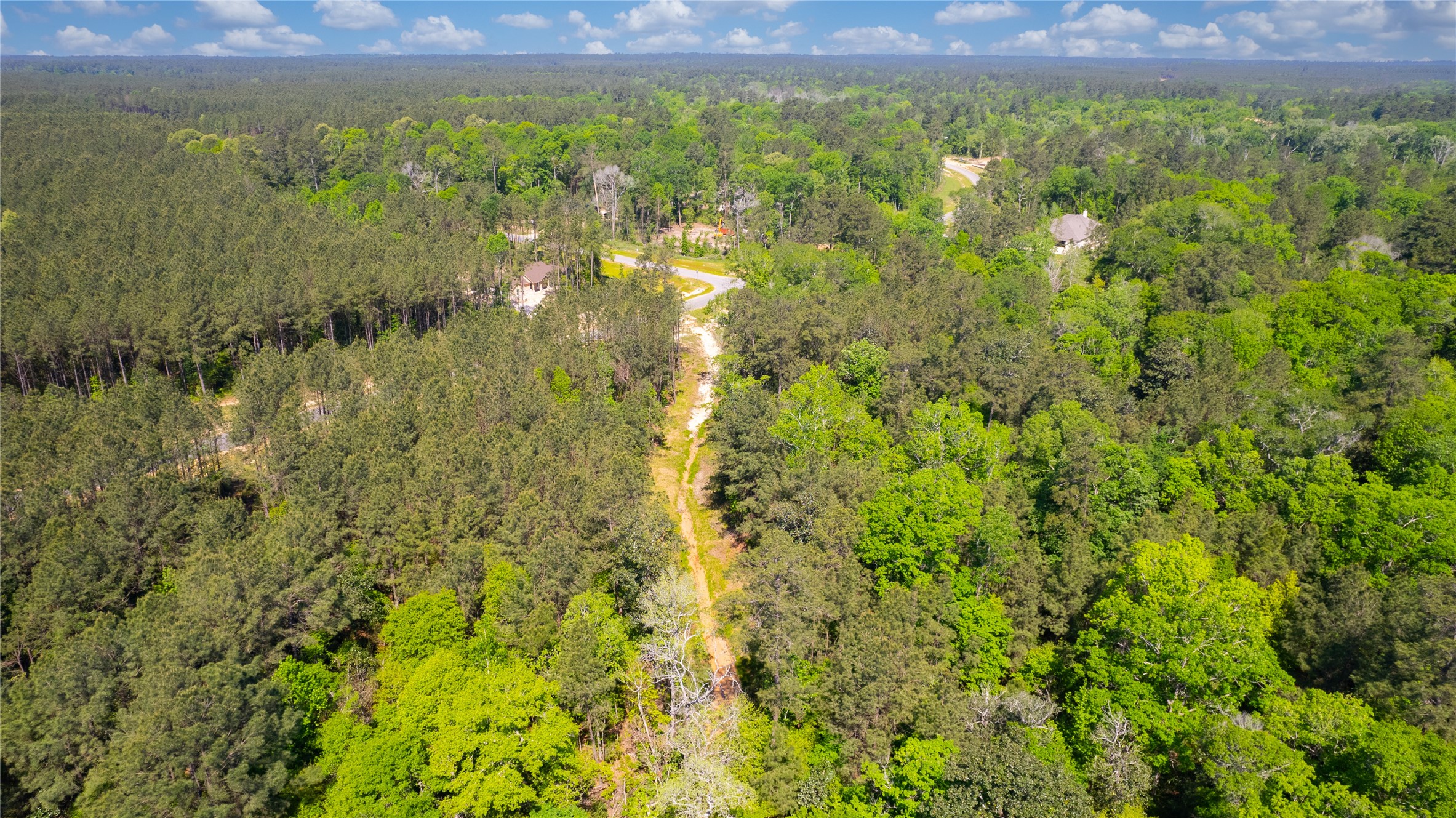 12868 Oak Barrel Road Willis, TX 77378 - Photo 32 of 32 a view of a forest with a lush green forest
