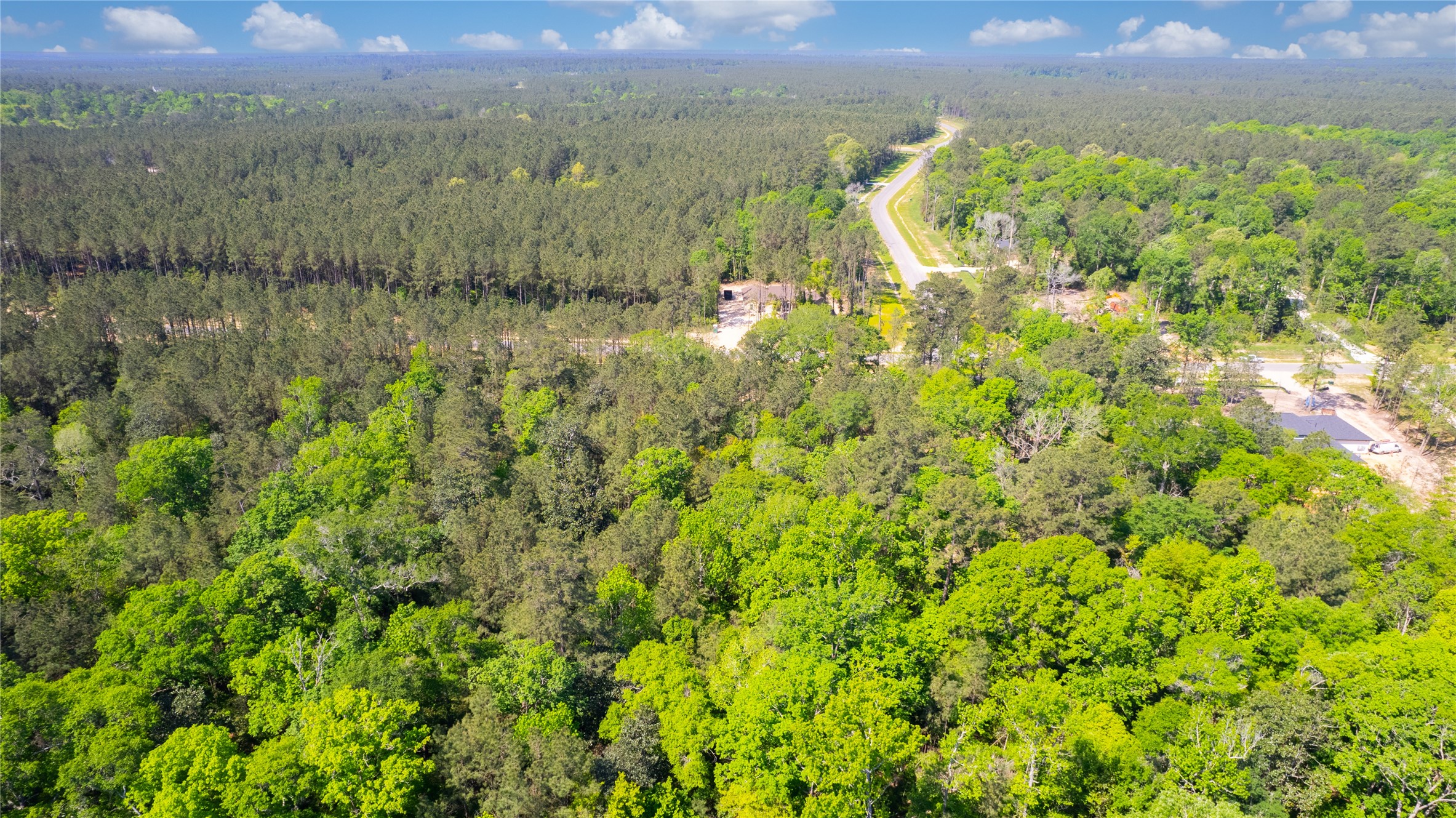 12868 Oak Barrel Road Willis, TX 77378 - Photo 4 of 32 a view of a lake with a mountain