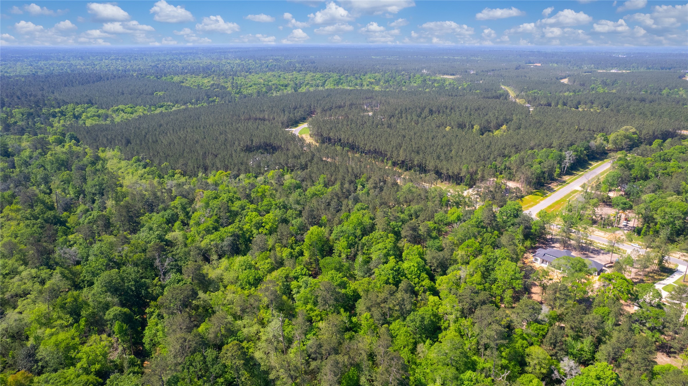 12868 Oak Barrel Road Willis, TX 77378 - Photo 5 of 32 a view of a yard in a field