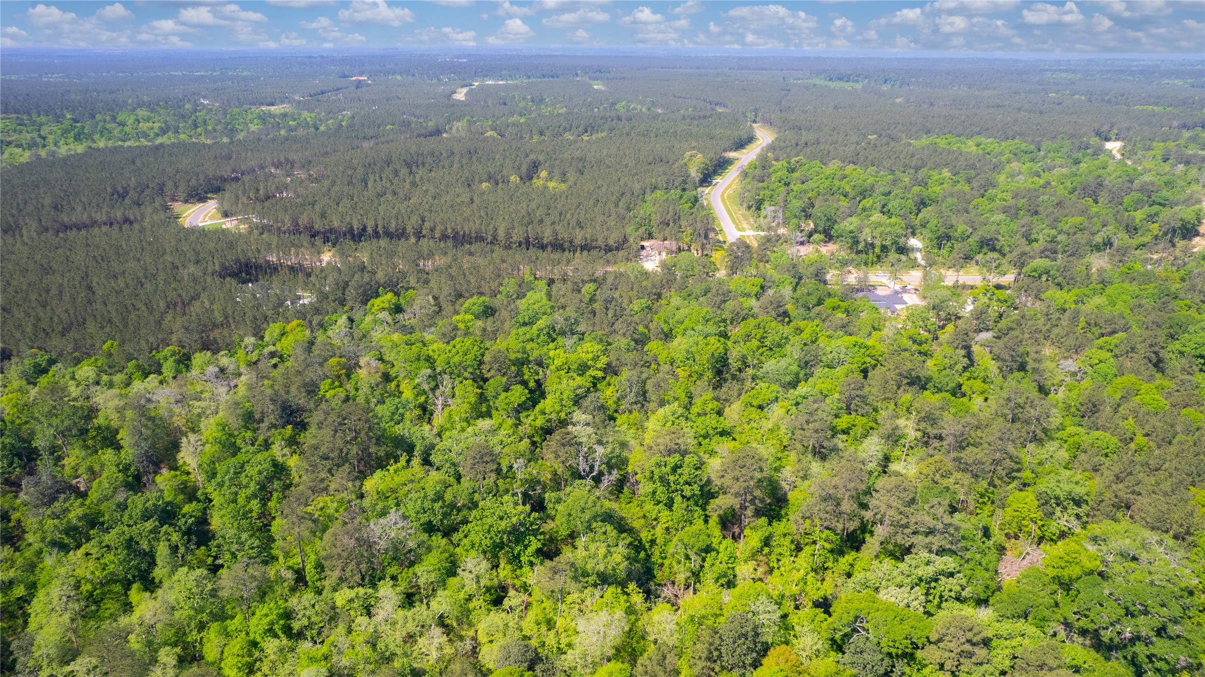 12868 Oak Barrel Road Willis, TX 77378 - Photo 6 of 32 a view of a lake with a mountain