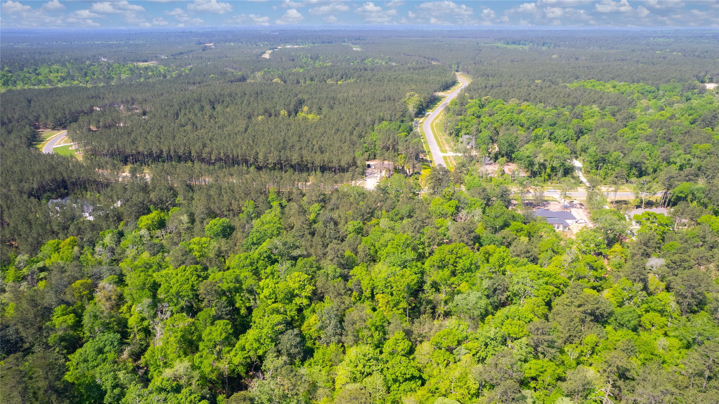 12868 Oak Barrel Road Willis, TX 77378 - Photo 7 of 32 a view of a lake with a mountain