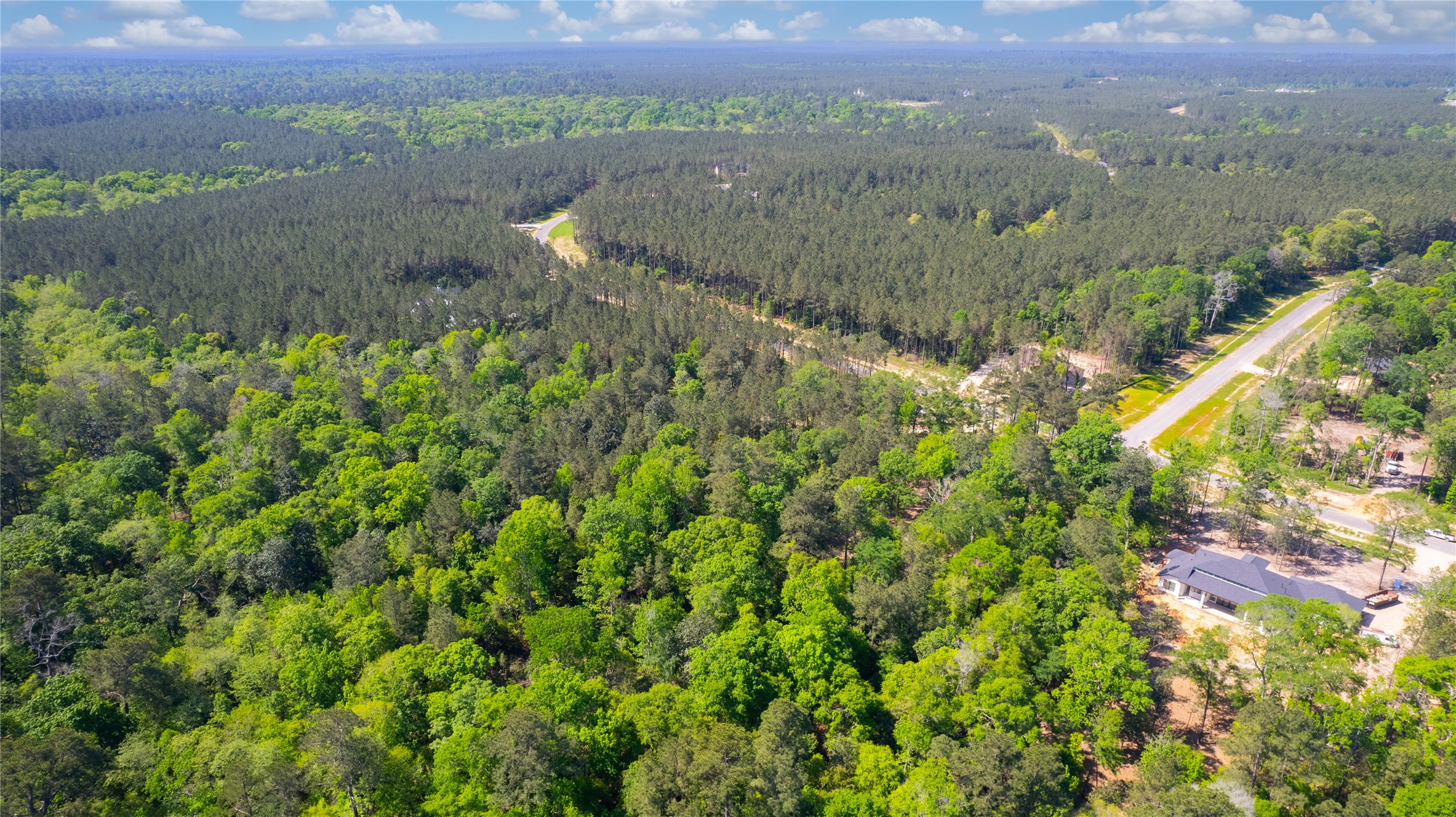 12868 Oak Barrel Road Willis, TX 77378 - Photo 8 of 32 a view of a lake with a mountain in the background