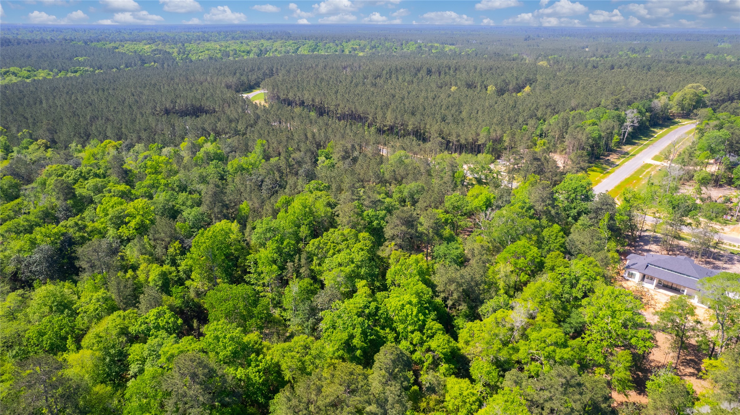 12868 Oak Barrel Road Willis, TX 77378 - Photo 9 of 32 a view of a lake with a mountain in the background
