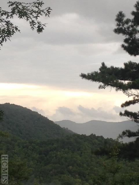 6023 Canada Road Tuckasegee, NC 28783 - Photo 2 of 33 Gallery Image 2