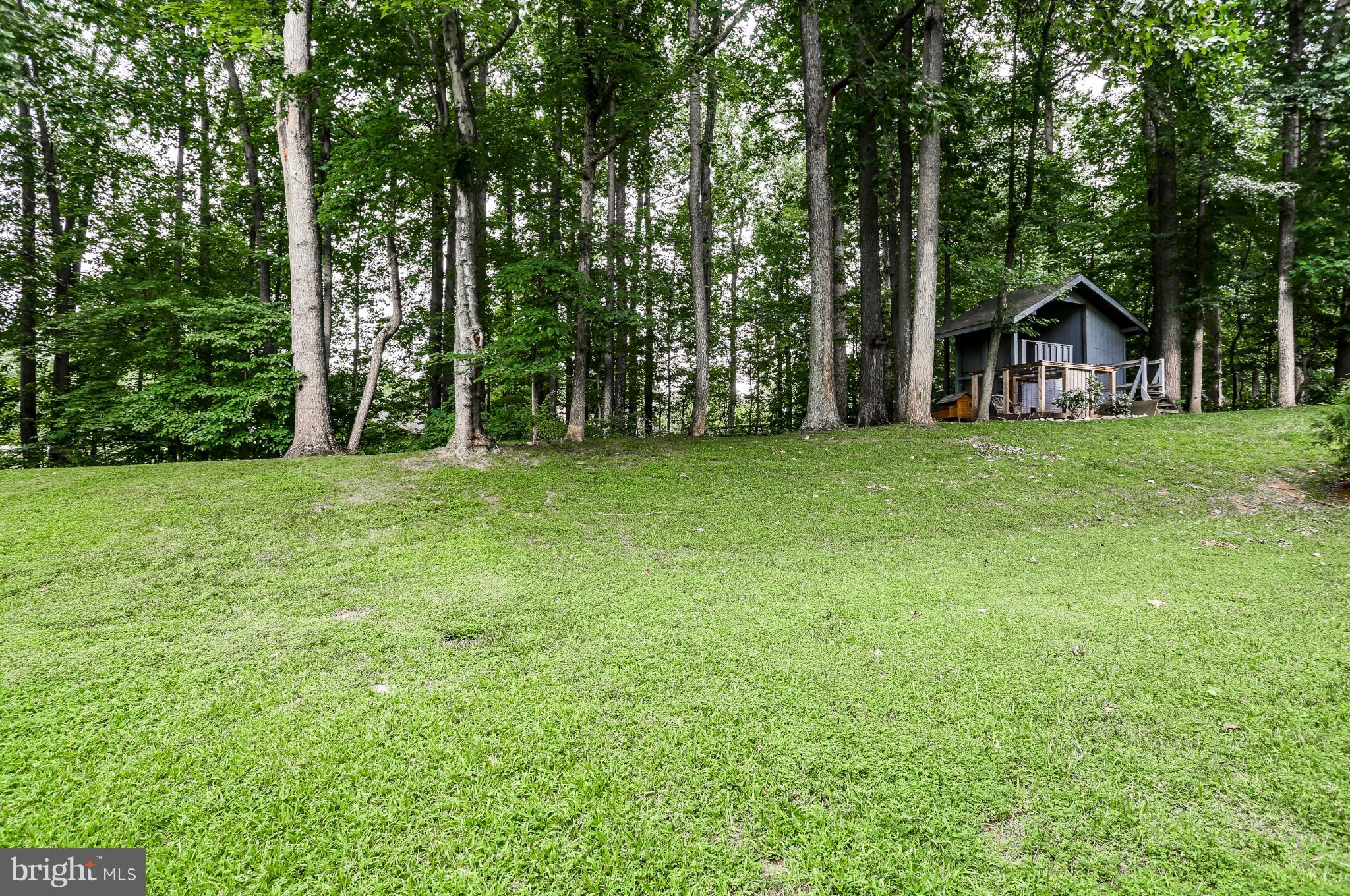 7113 Rivers View Court Columbia, MD 21044 - Photo 26 of 27 Large backyard w/shed