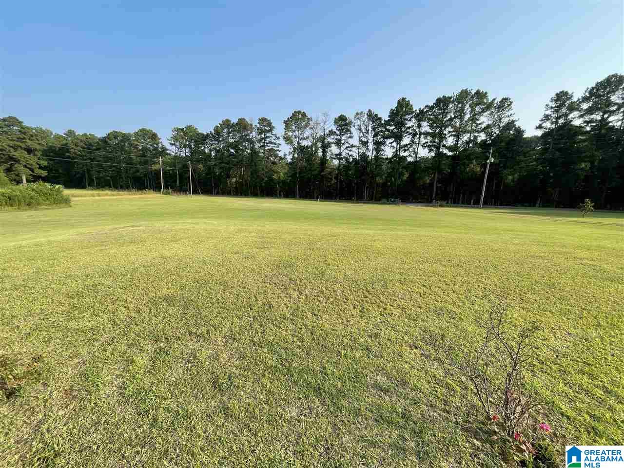 131 Walkers Crossing Road Pell City, AL 35128 - Photo 2 of 4