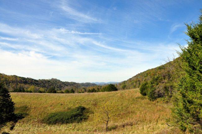 4095 Laurel Creek Road Union, WV 24983 - Photo 9 of 44 Gallery Image 9