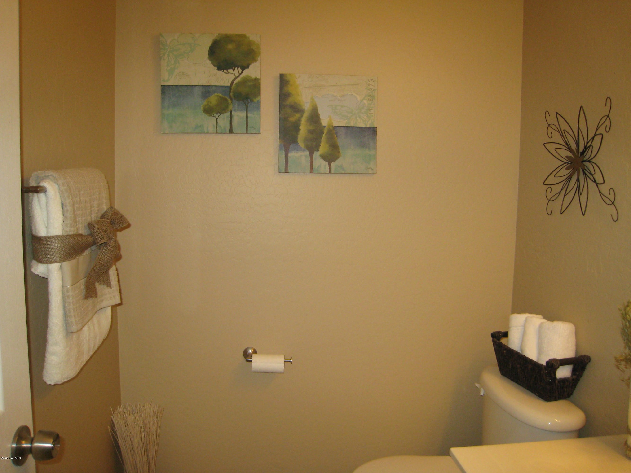 2597 West Tanner Ranch Road Queen Creek, AZ 85144 - Photo 15 of 40 Powder Room