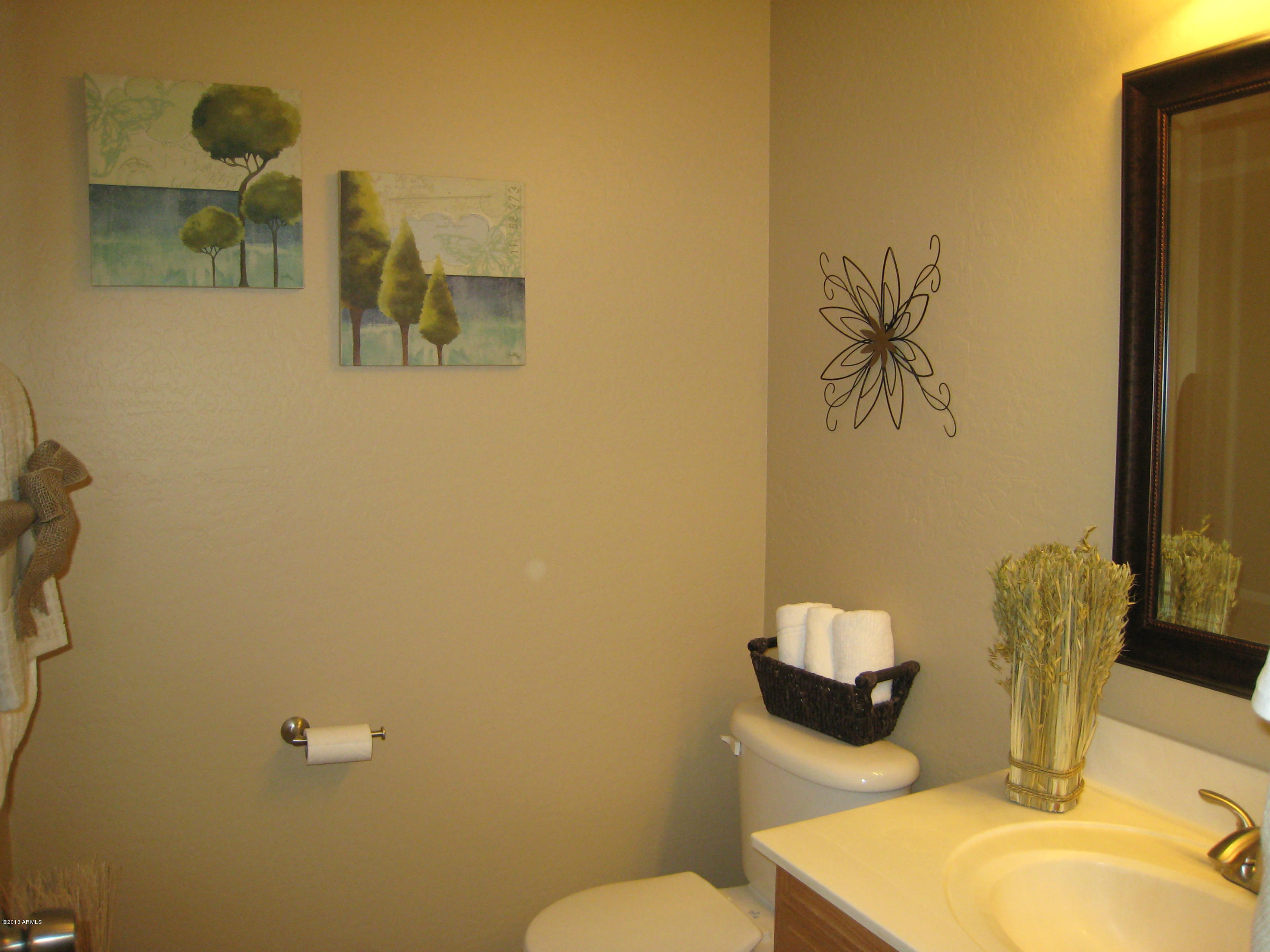 2597 West Tanner Ranch Road Queen Creek, AZ 85144 - Photo 16 of 40 Powder Room A