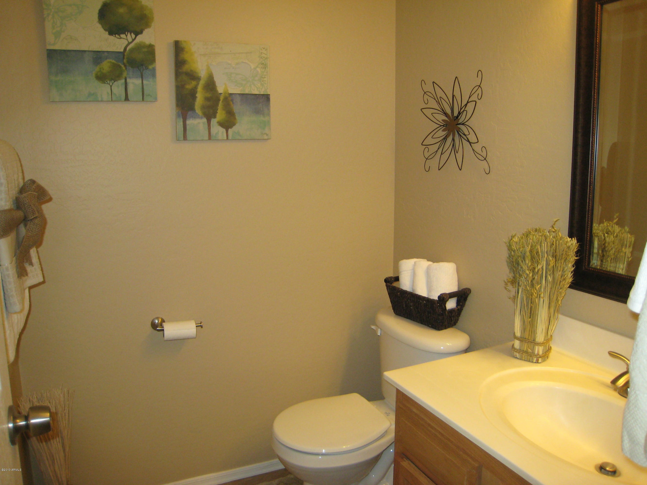 2597 West Tanner Ranch Road Queen Creek, AZ 85144 - Photo 17 of 40 Powder Room C
