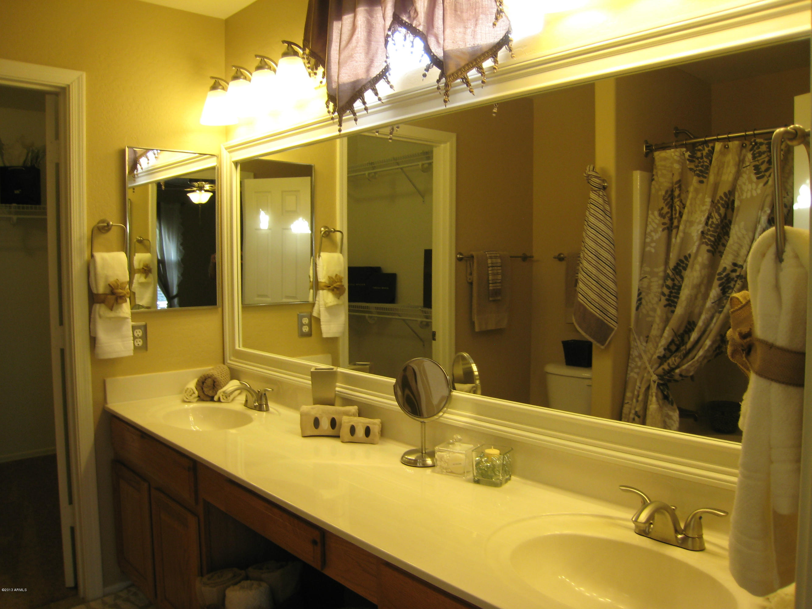 2597 West Tanner Ranch Road Queen Creek, AZ 85144 - Photo 19 of 40 Master Bath